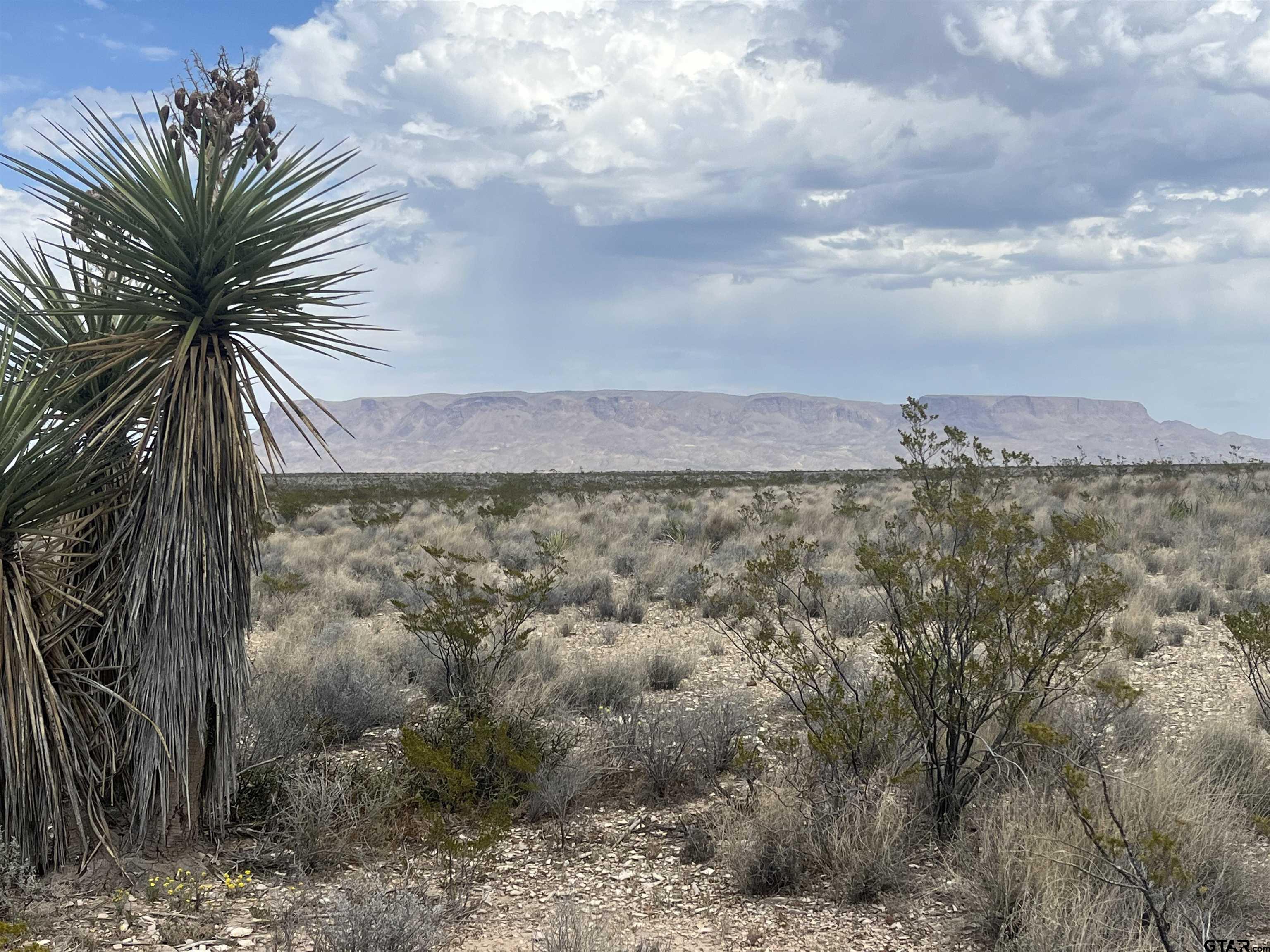 14570 Alpha Alpine, TX 79830 - Photo 1 of 1 Gallery Image 1