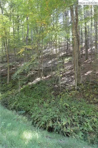 $16,900 | Lot #12 Enchanted Forrest Drive, Piney Creek, NC 28663
