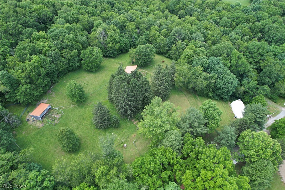11811 Gaston Road Rogers, OH 44455 - Photo 4 of 38 WELCOME TO PARADISE! 11811 Gaston Rd. Negley/Rogers, OHIO sits on nearly 28 acres of land, with a functional and featured cabin to relax in! Not to mention the Q-Hut that's over 1,000 square feet and has electric, the horse arena is 50x80 and there's plenty of usable space that could be built out for your needs. Schedule your appointment today!