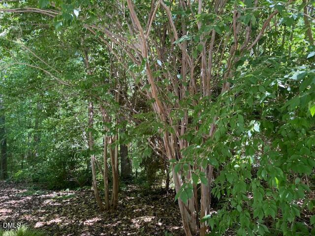 1514 Pinecrest Road Durham, NC 27705 - Photo 5 of 11 IMG_7196