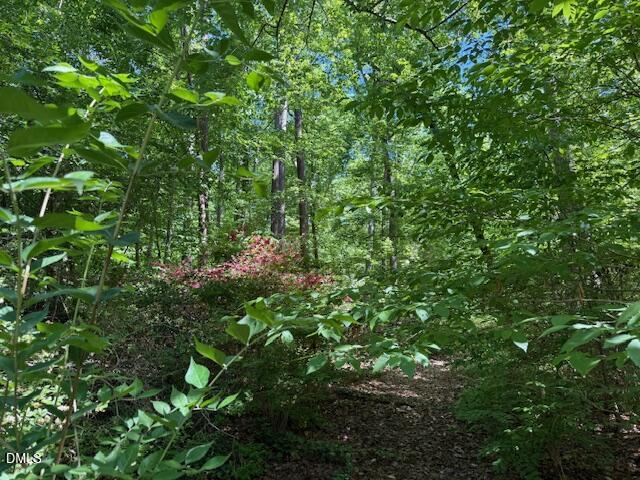 1514 Pinecrest Road Durham, NC 27705 - Photo 6 of 11 IMG_7197