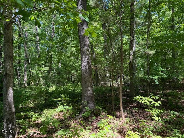 1514 Pinecrest Road Durham, NC 27705 - Photo 7 of 11 IMG_7198