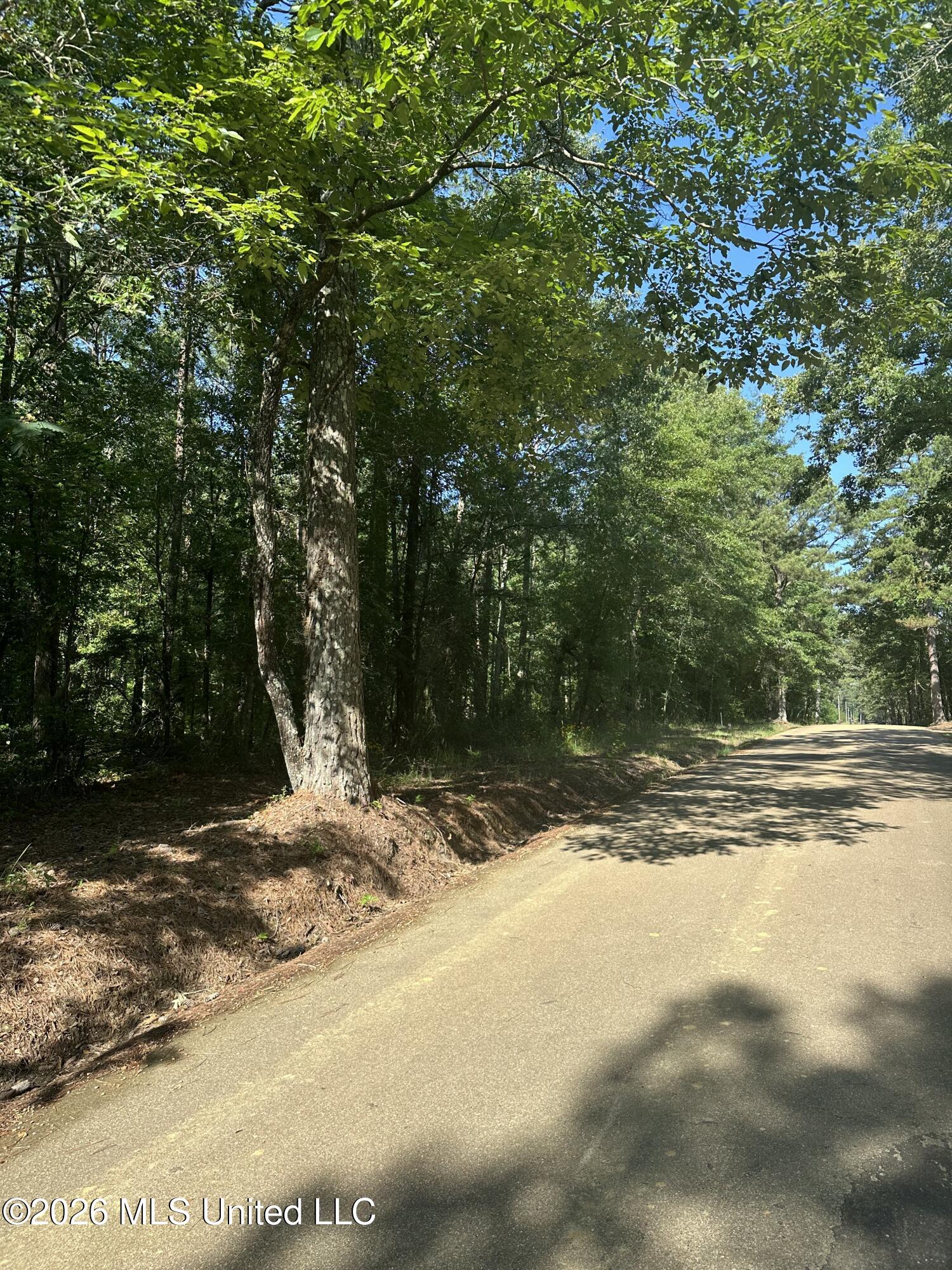 J C Prestage Road Pelahatchie, MS 39145 - Photo 3 of 24 9F28C6C3-5617-4CCD-A66C-5E7DD5AF923A