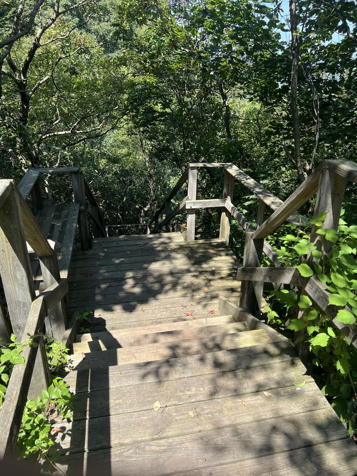Fern Road Calverton, NY 11933 - Photo 13 of 13 a backyard of a house with lots of green space