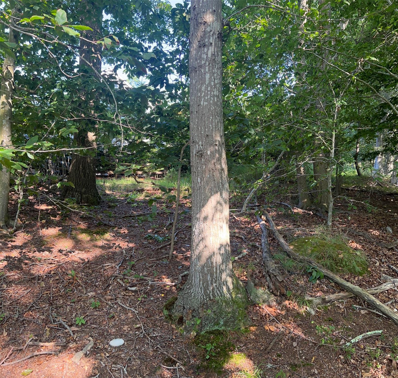 Fern Road Calverton, NY 11933 - Photo 4 of 13 a backyard of a house with lots of green space