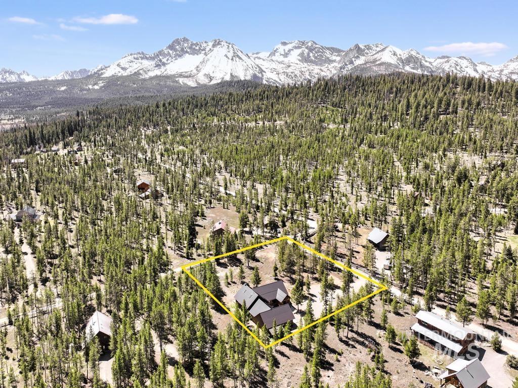 65 Goat Creek Way Stanley, ID 83278 - Photo 31 of 32 Property situated among a dense forest of evergreen trees, featuring a prominent mountainous backdrop
