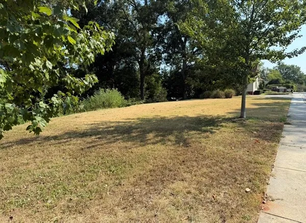 a view of a yard with large trees