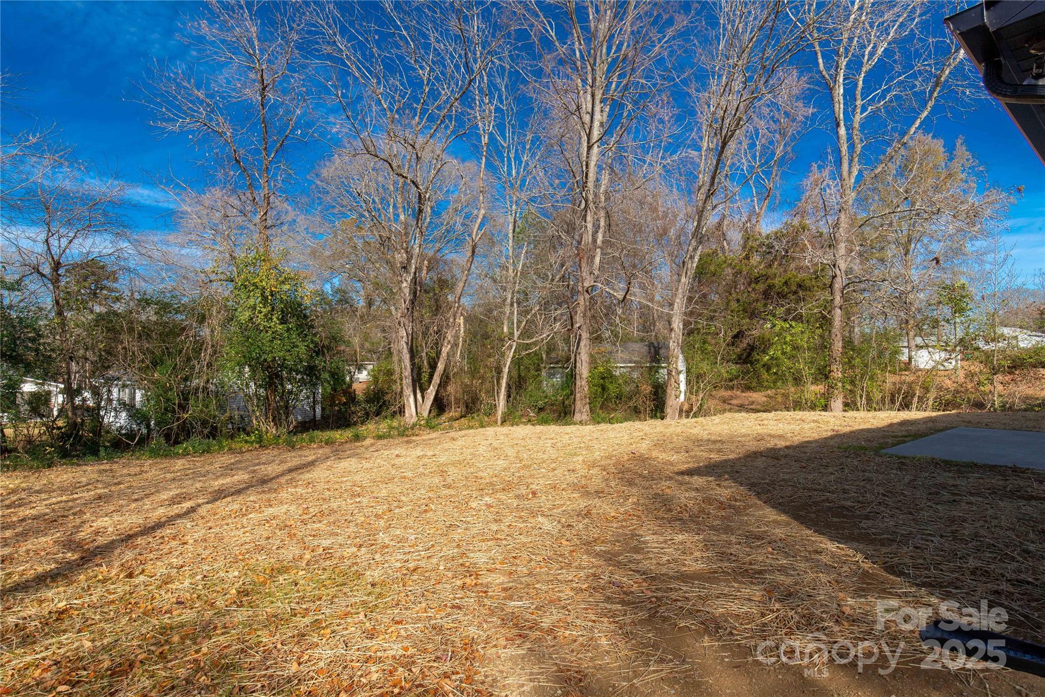2166 Reeves Road Lancaster, SC 29720 - Photo 29 of 32 a backyard of a house with large trees