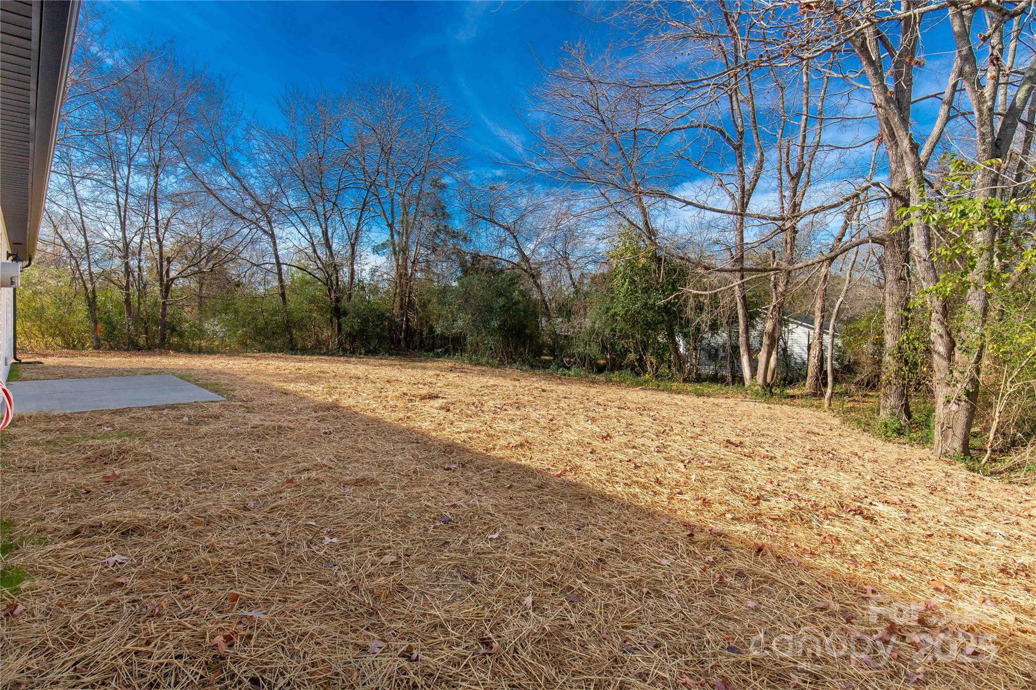 2166 Reeves Road Lancaster, SC 29720 - Photo 30 of 32 a view of a yard with trees