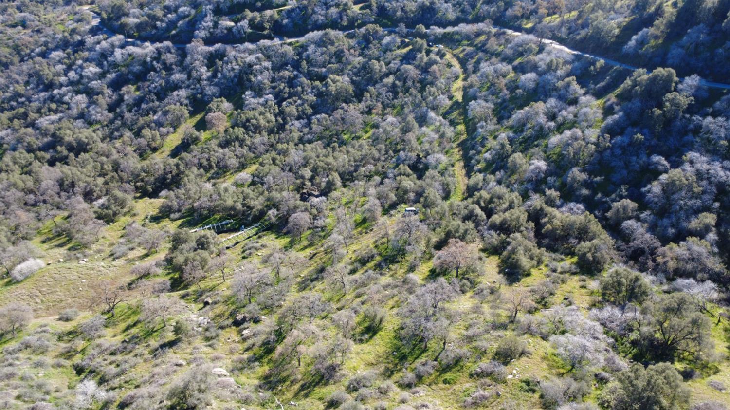 0 Ruth Hill Road Squaw Valley, CA 93675 - Photo 25 of 31