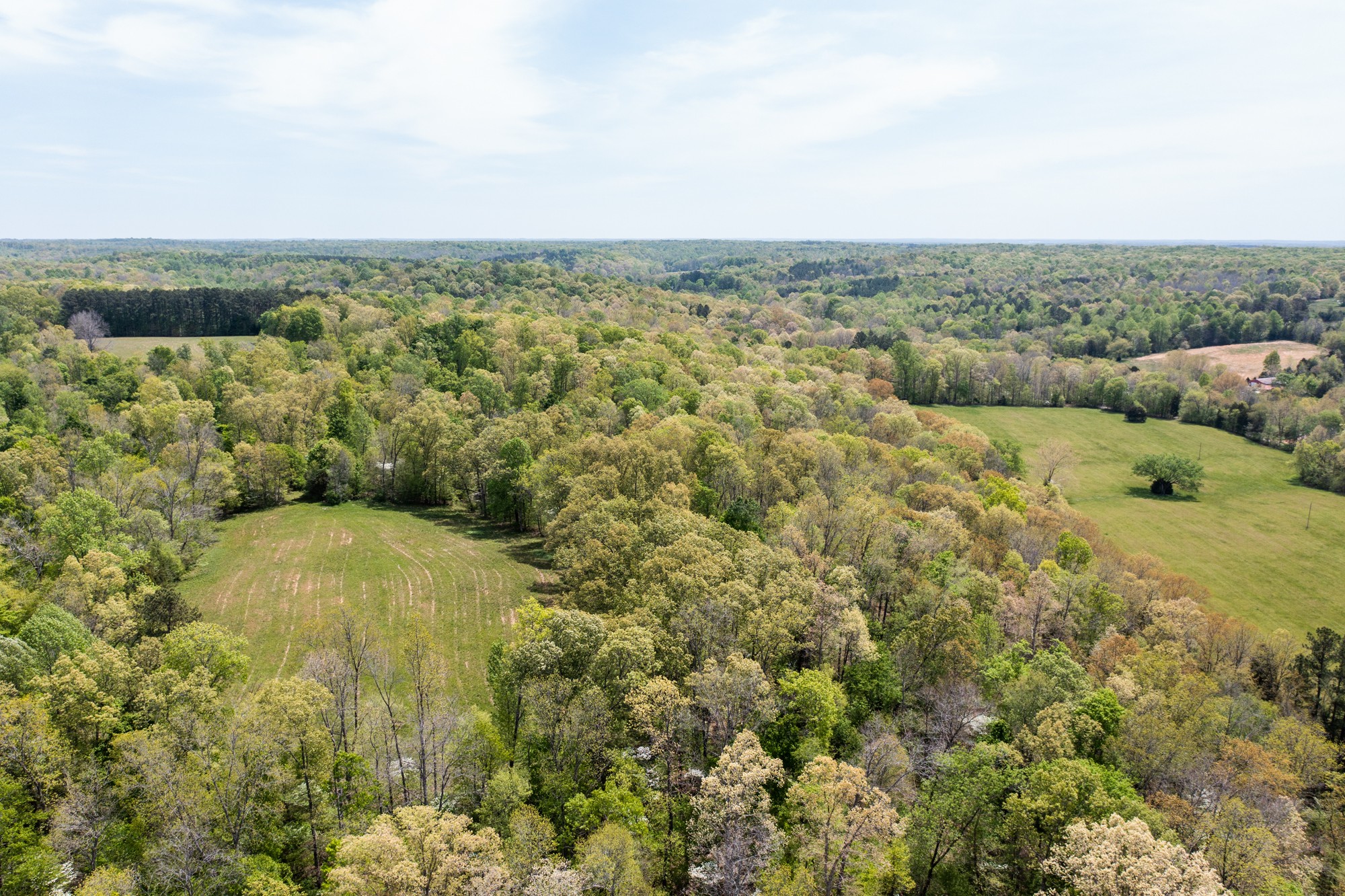 0 Gossett Cemetery Road Lyles, TN 37098 - Photo 1 of 50 Gallery Image 1