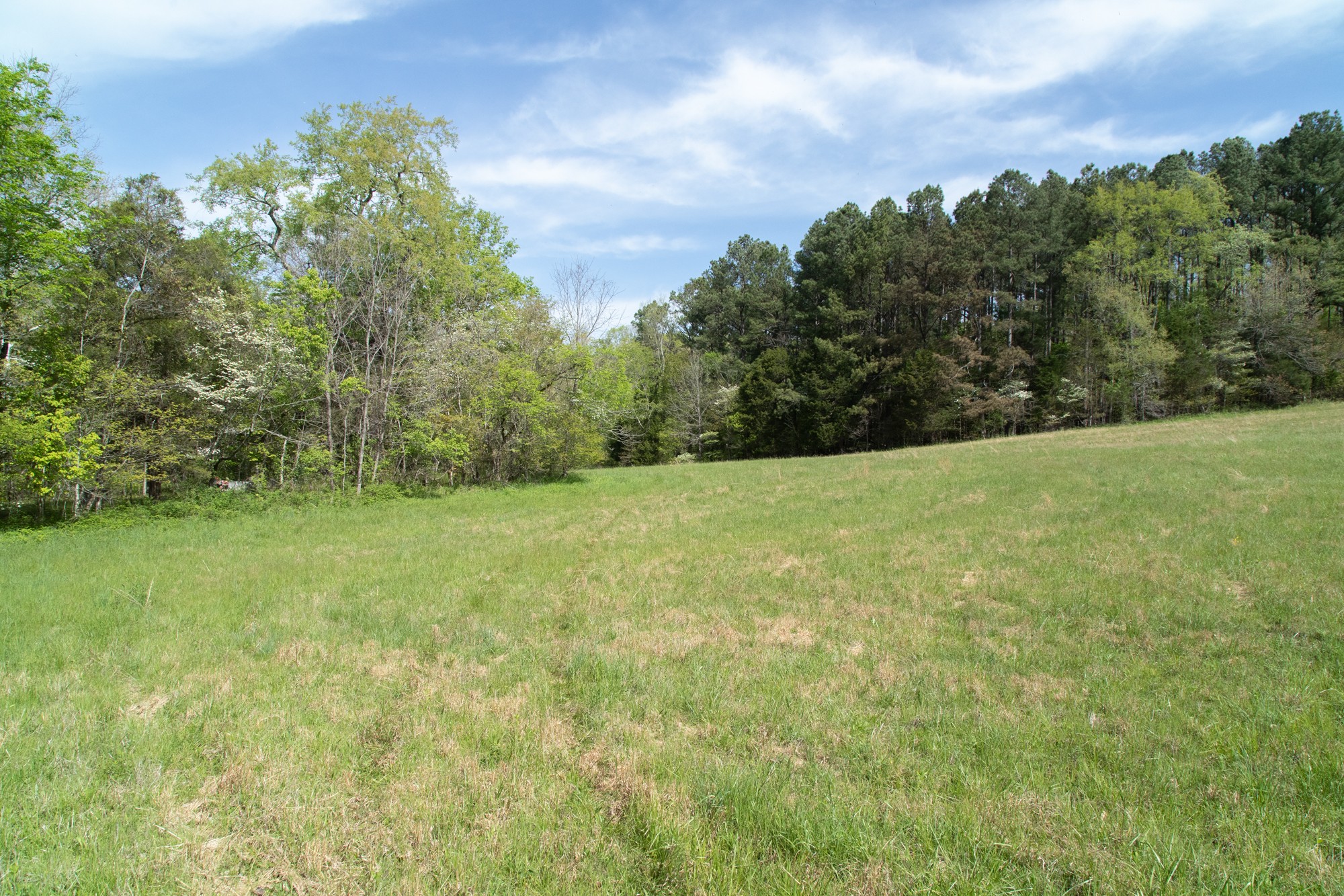 0 Gossett Cemetery Road Lyles, TN 37098 - Photo 11 of 50 Gallery Image 11