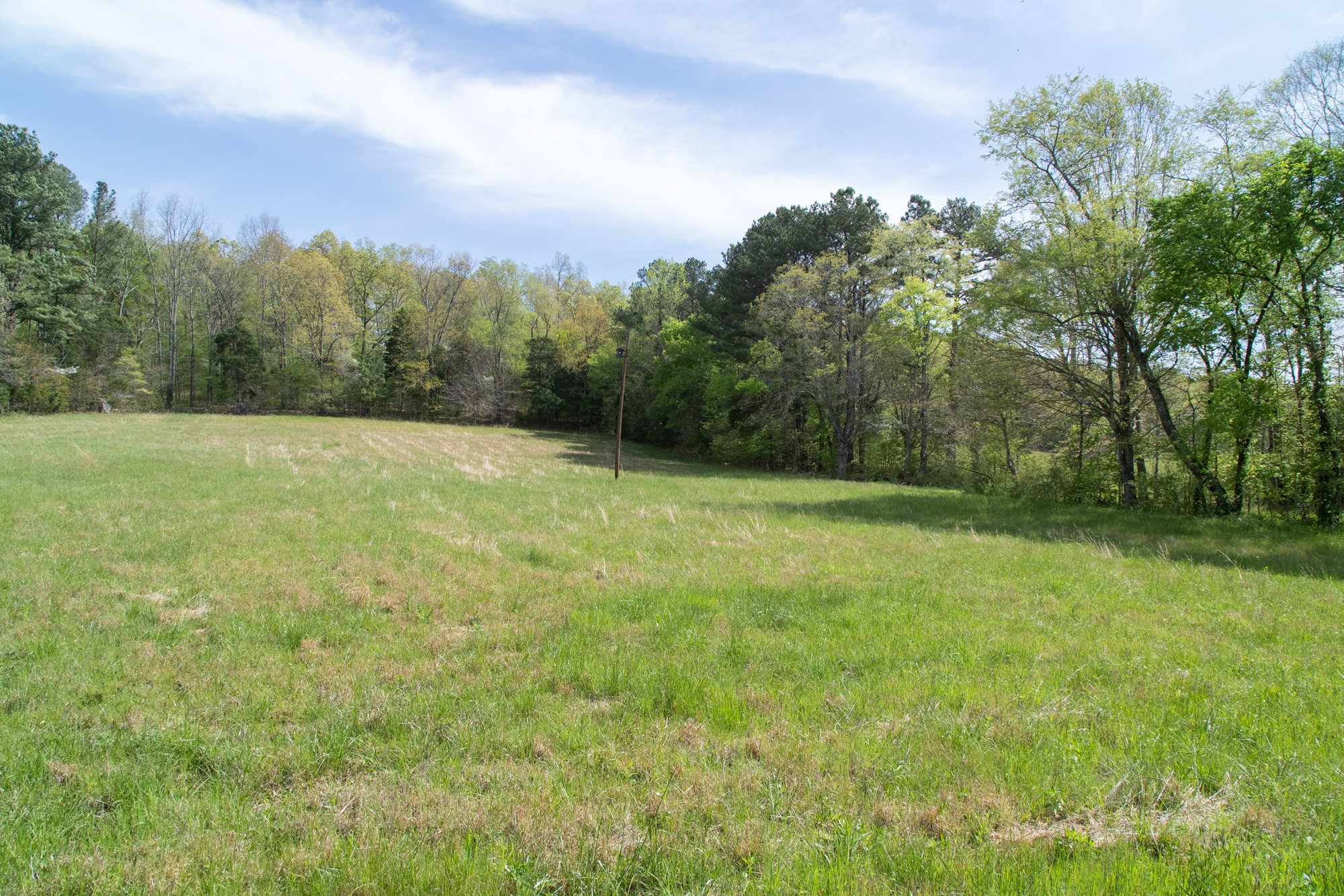 0 Gossett Cemetery Road Lyles, TN 37098 - Photo 12 of 50 Gallery Image 12
