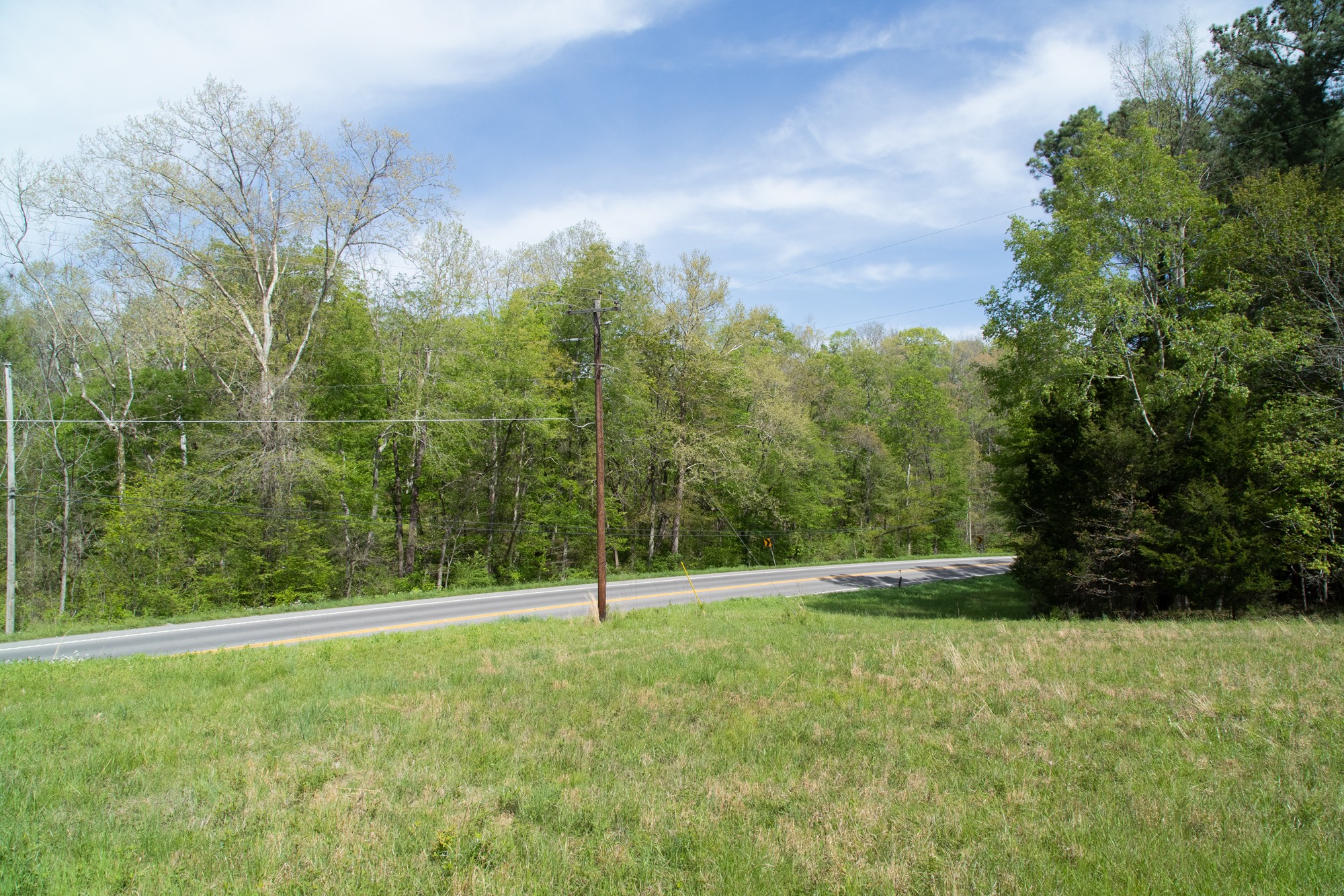 0 Gossett Cemetery Road Lyles, TN 37098 - Photo 13 of 50 Gallery Image 13
