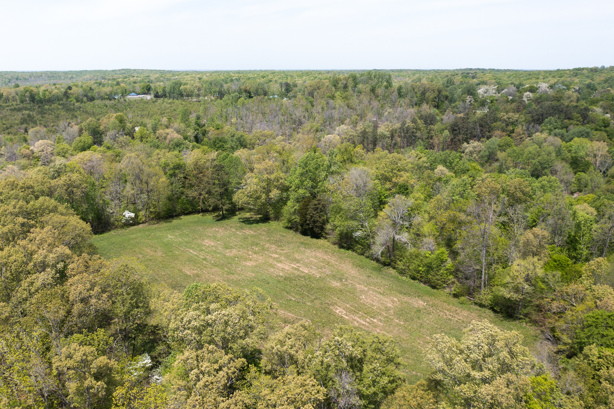 0 Gossett Cemetery Road Lyles, TN 37098 - Photo 16 of 50 Gallery Image 16