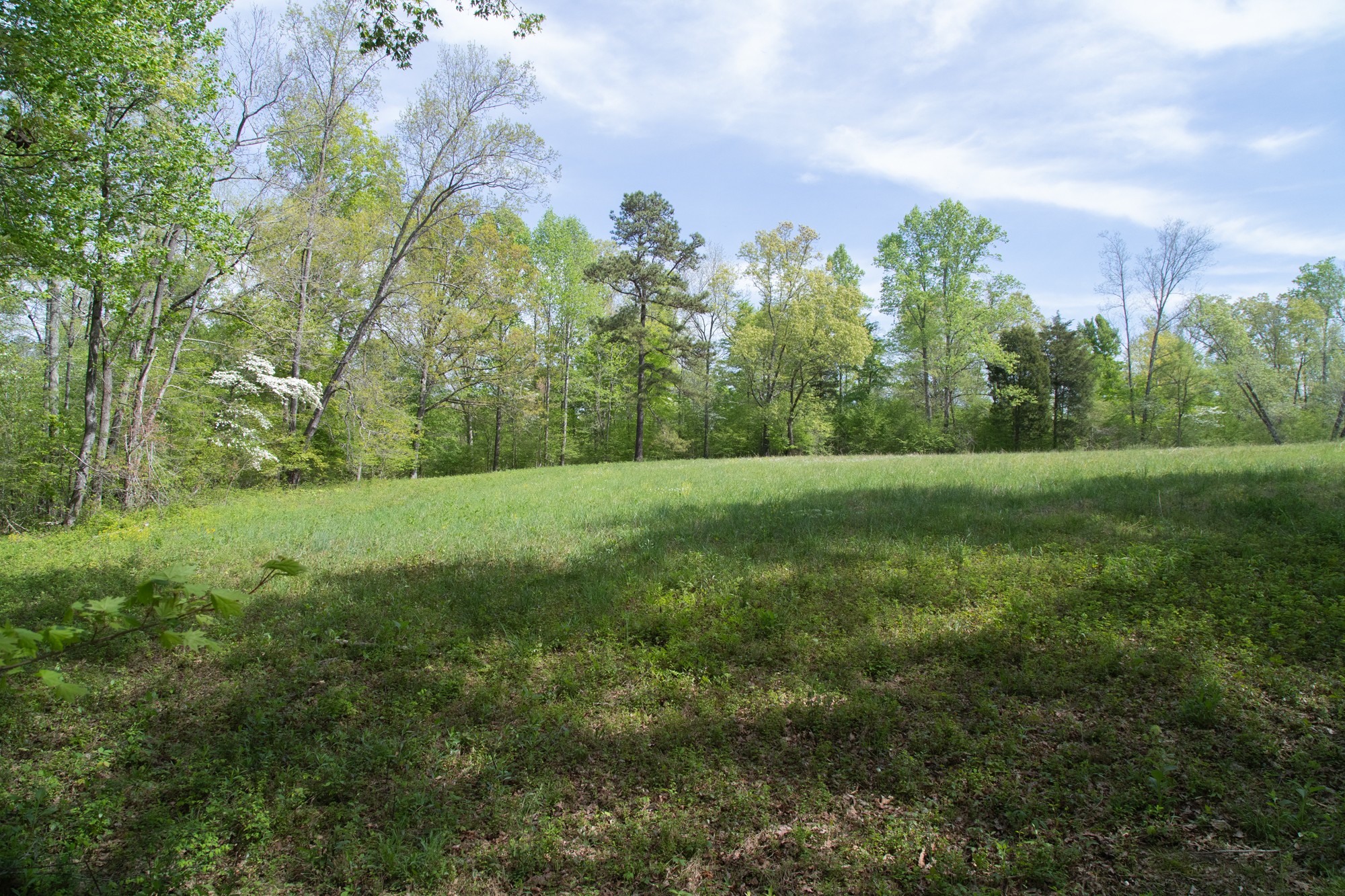 0 Gossett Cemetery Road Lyles, TN 37098 - Photo 17 of 50 Gallery Image 17