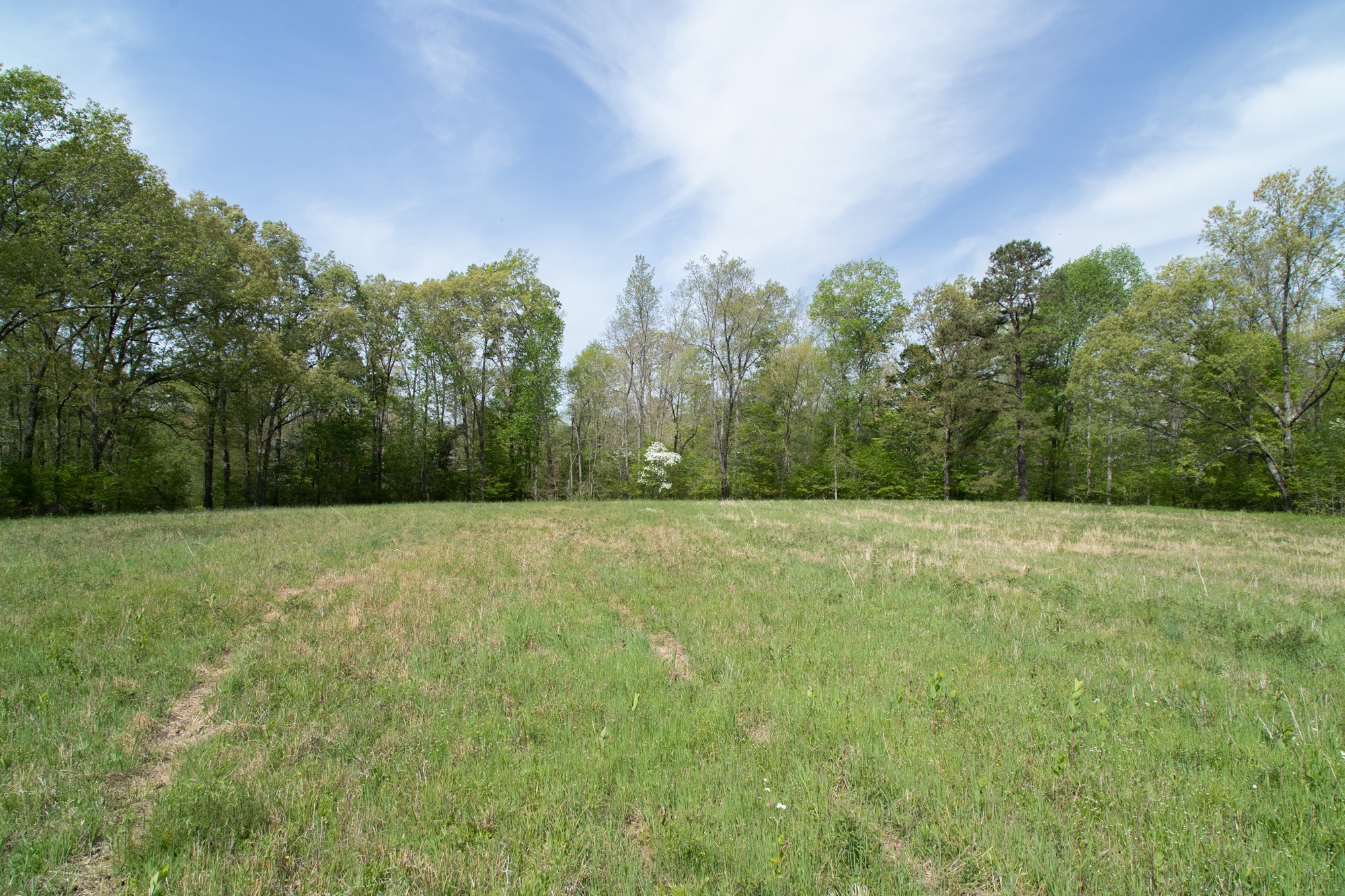 0 Gossett Cemetery Road Lyles, TN 37098 - Photo 18 of 50 Gallery Image 18