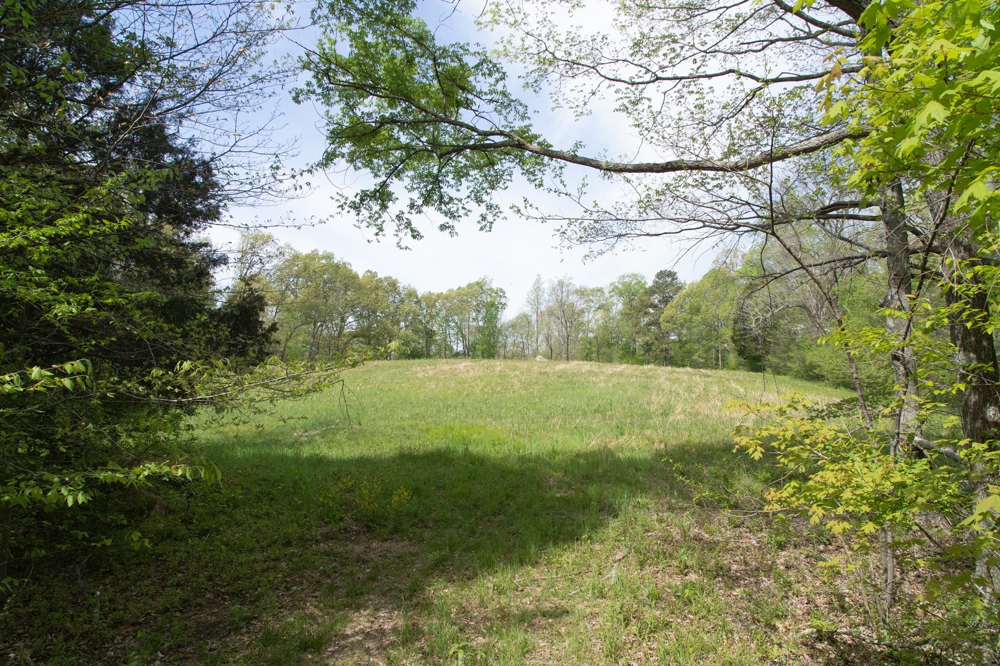 0 Gossett Cemetery Road Lyles, TN 37098 - Photo 19 of 50 Gallery Image 19