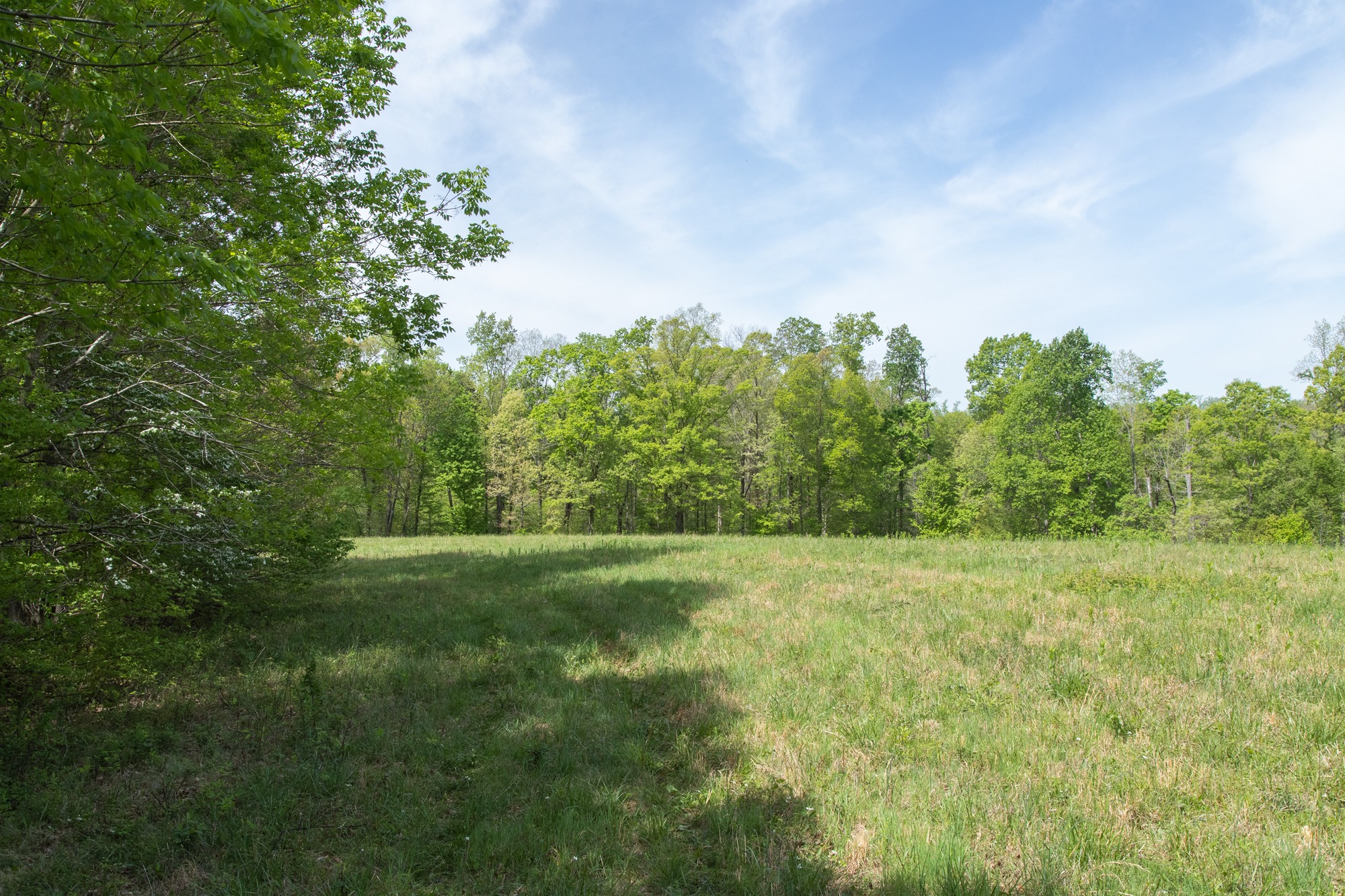 0 Gossett Cemetery Road Lyles, TN 37098 - Photo 24 of 50 Gallery Image 24