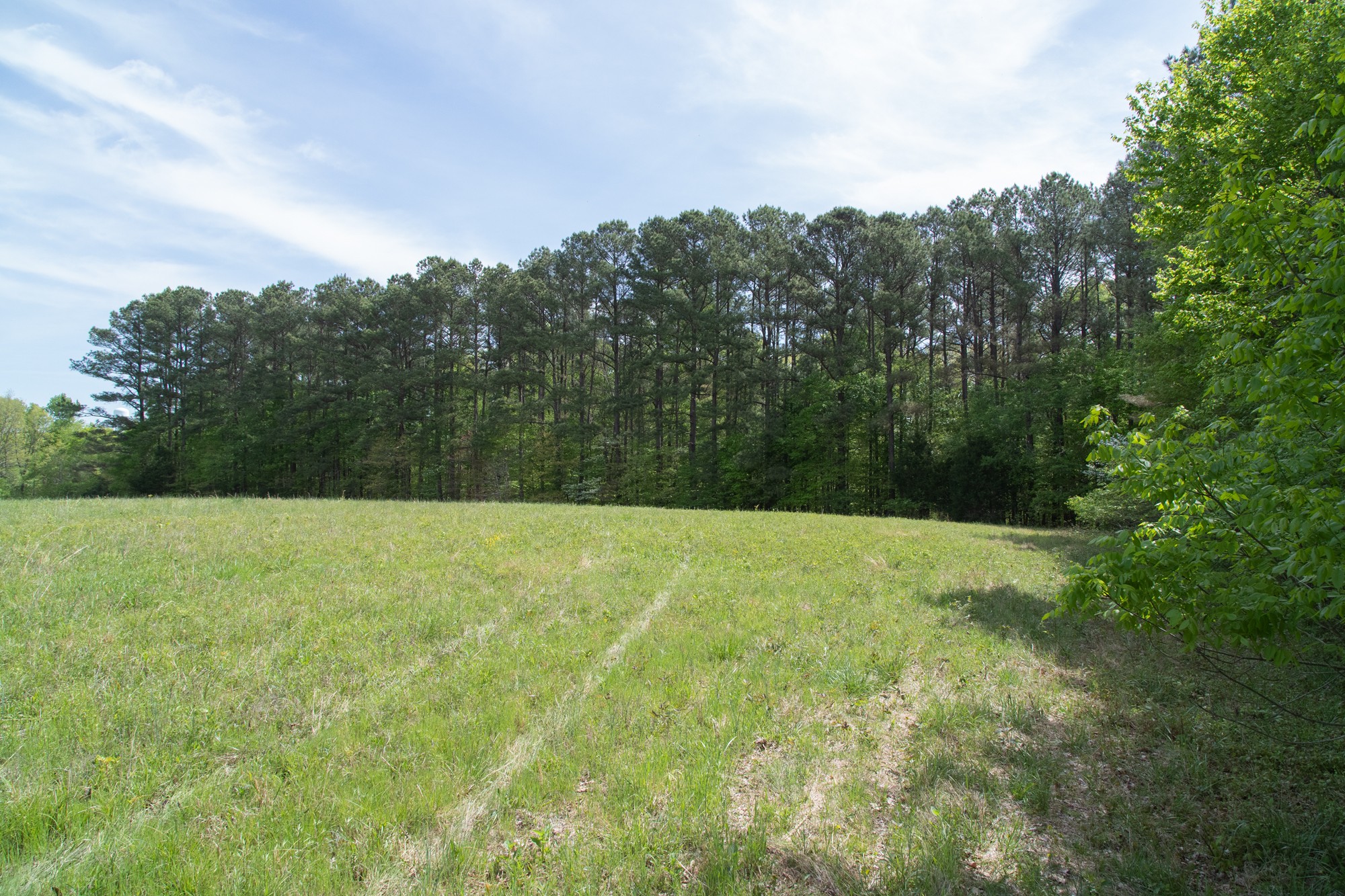 0 Gossett Cemetery Road Lyles, TN 37098 - Photo 25 of 50 Gallery Image 25