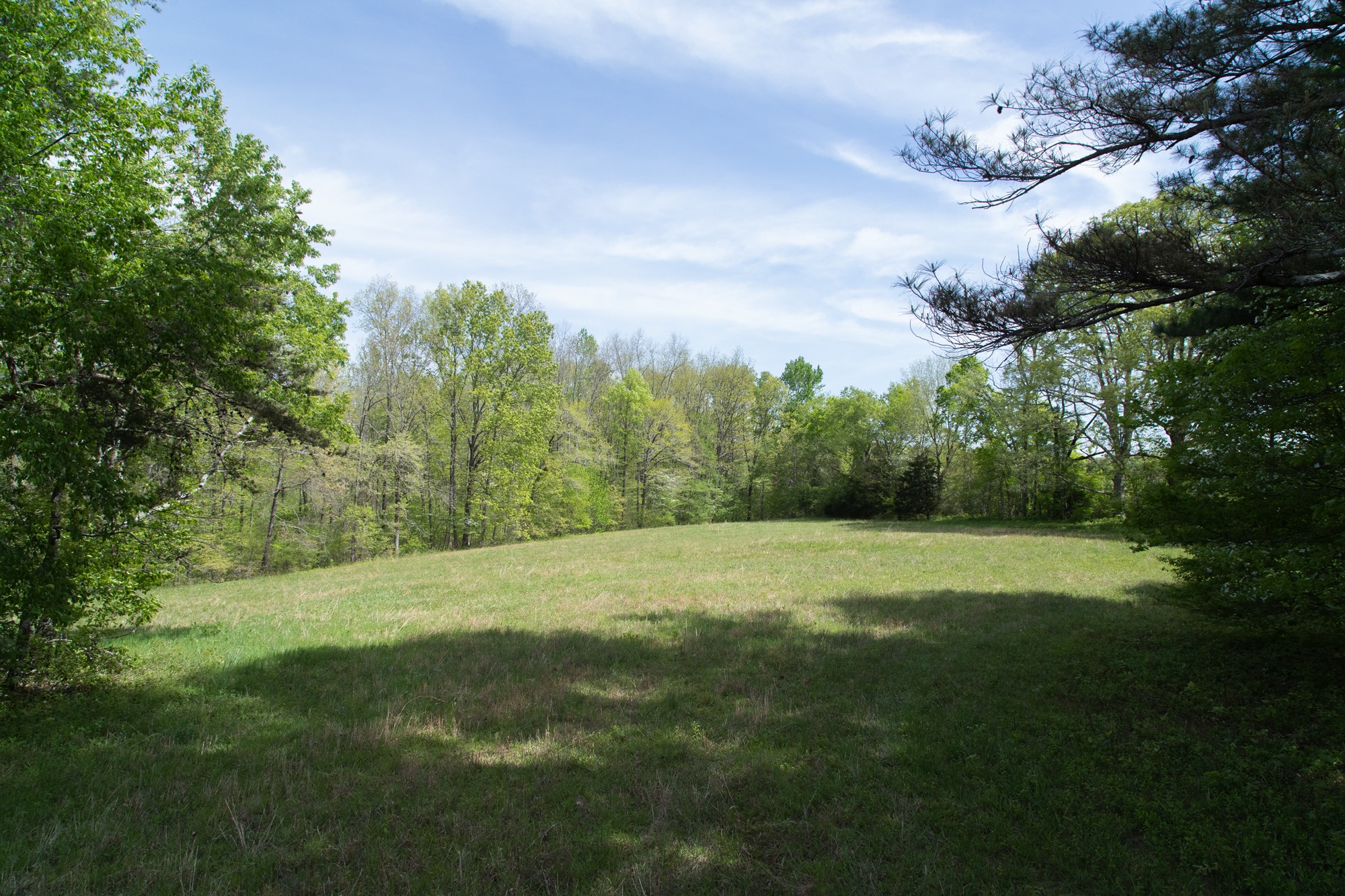 0 Gossett Cemetery Road Lyles, TN 37098 - Photo 27 of 50 Gallery Image 27
