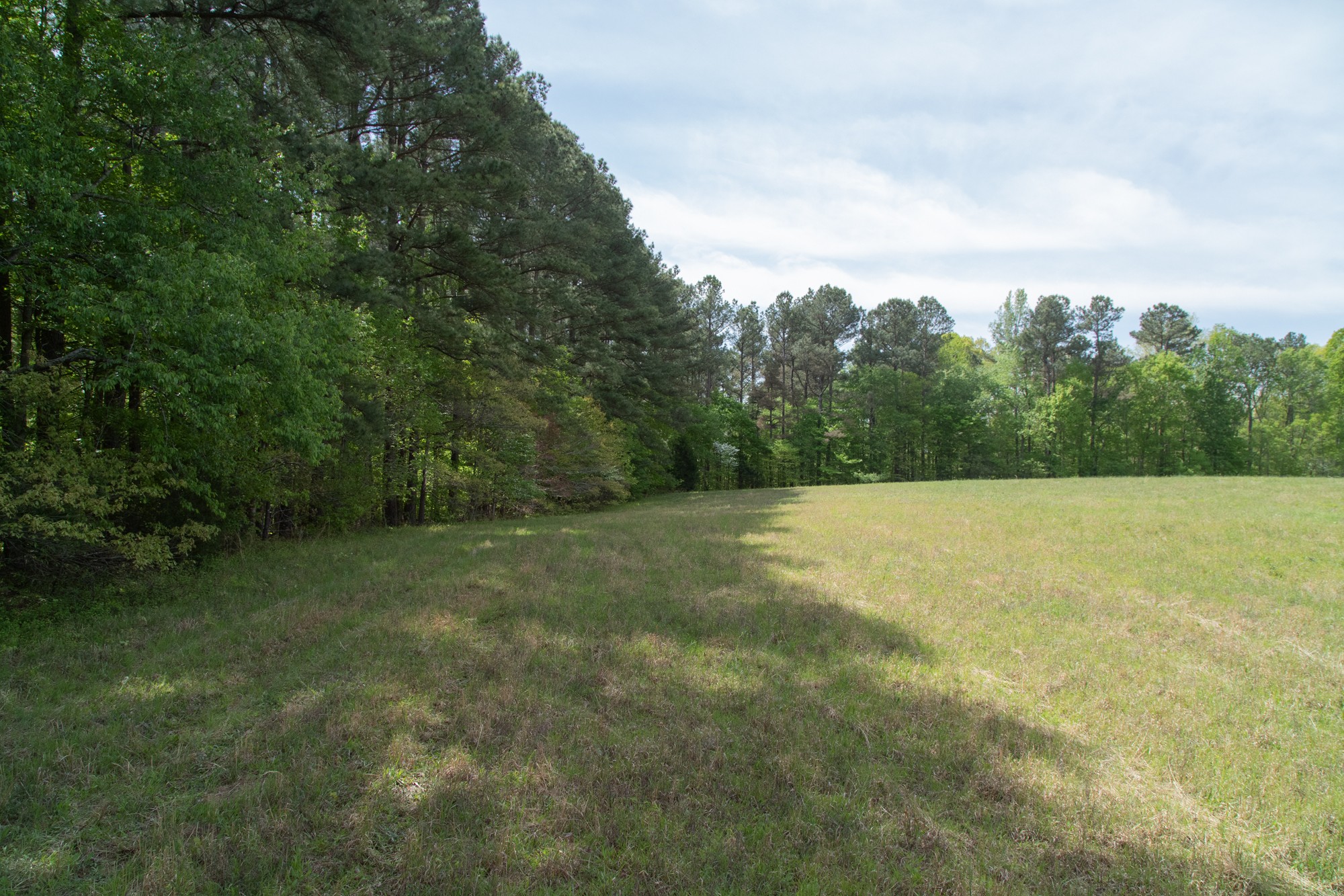 0 Gossett Cemetery Road Lyles, TN 37098 - Photo 28 of 50 Gallery Image 28