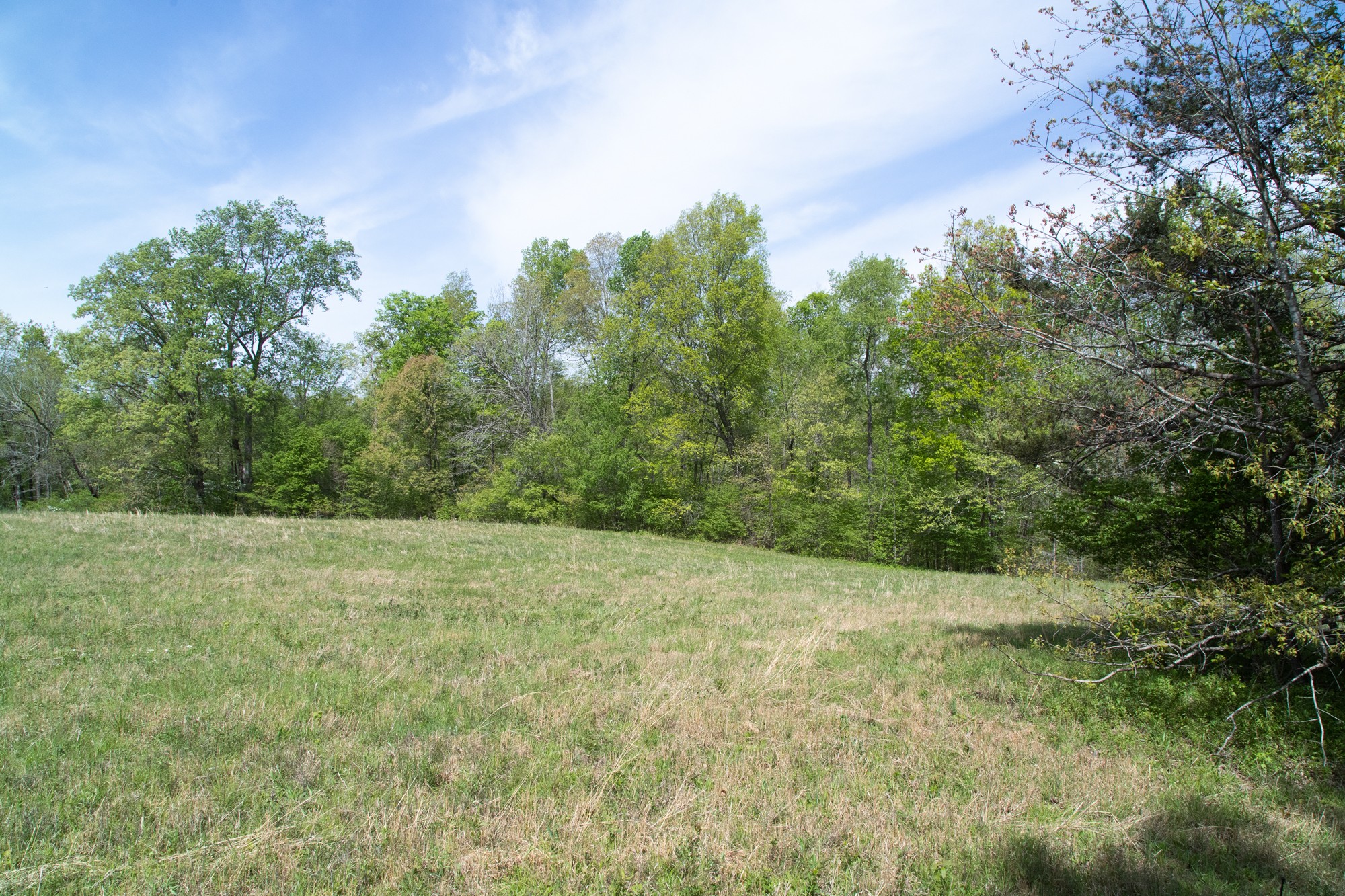 0 Gossett Cemetery Road Lyles, TN 37098 - Photo 29 of 50 Gallery Image 29