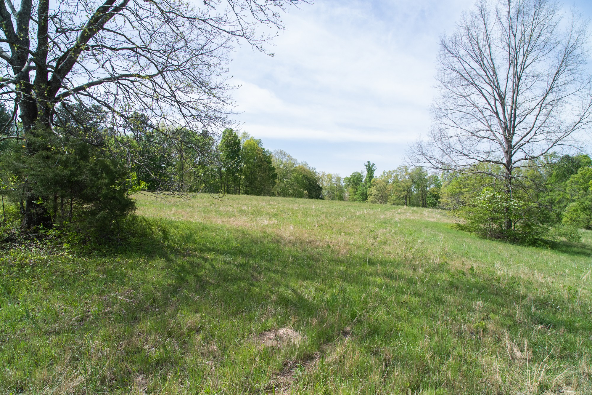 0 Gossett Cemetery Road Lyles, TN 37098 - Photo 30 of 50 Gallery Image 30