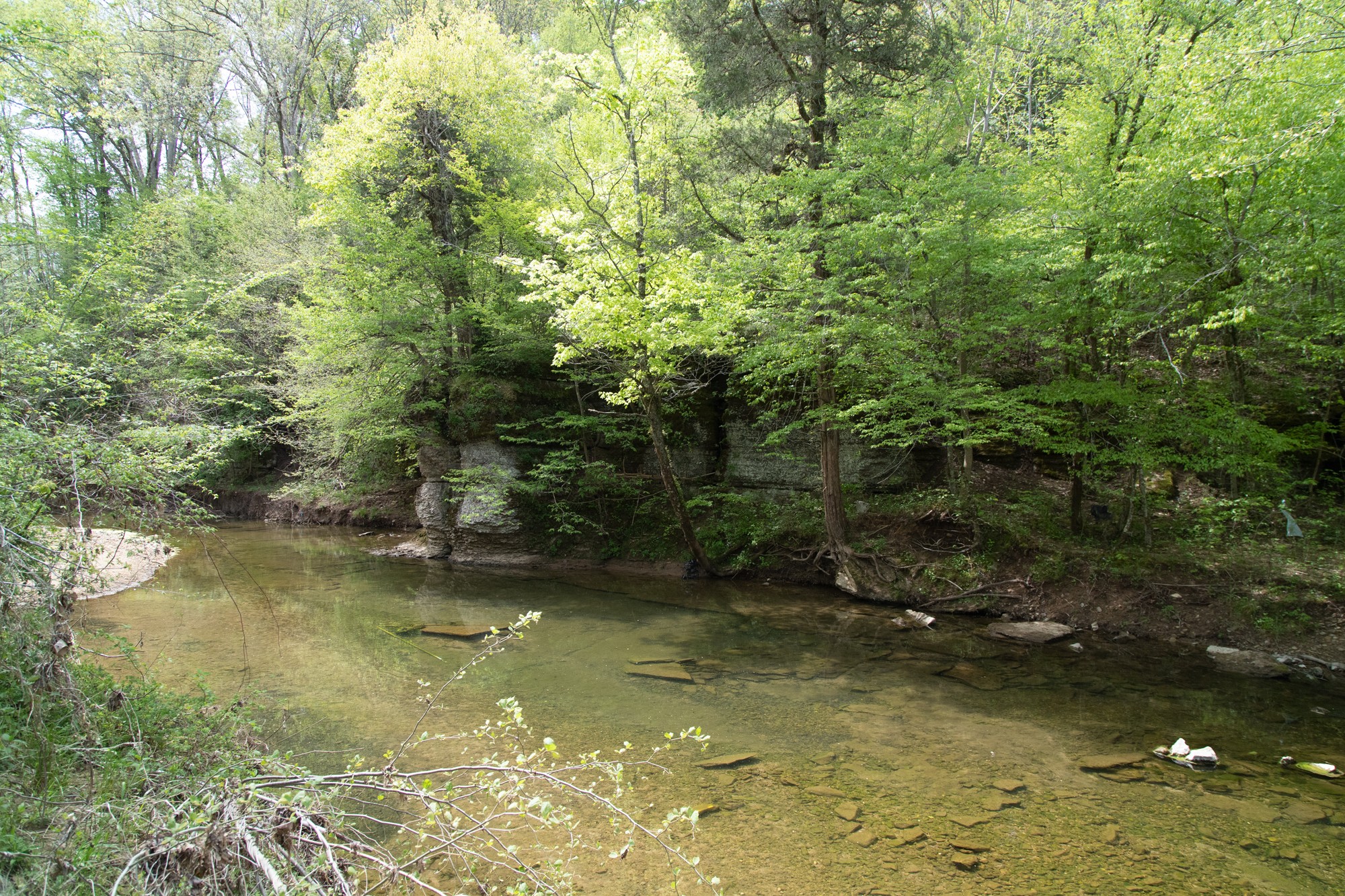 0 Gossett Cemetery Road Lyles, TN 37098 - Photo 4 of 50 Gallery Image 4