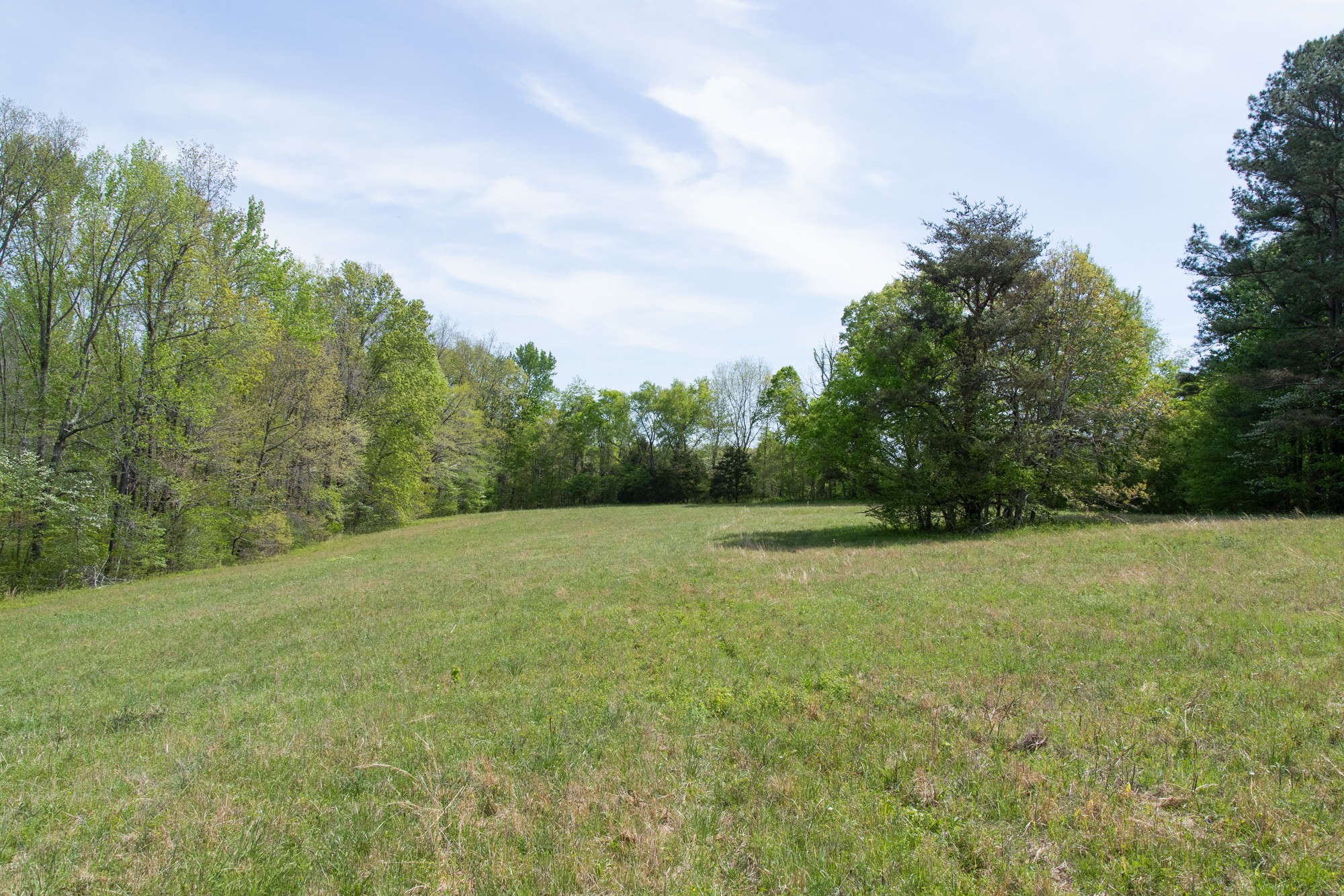 0 Gossett Cemetery Road Lyles, TN 37098 - Photo 32 of 50 Gallery Image 32
