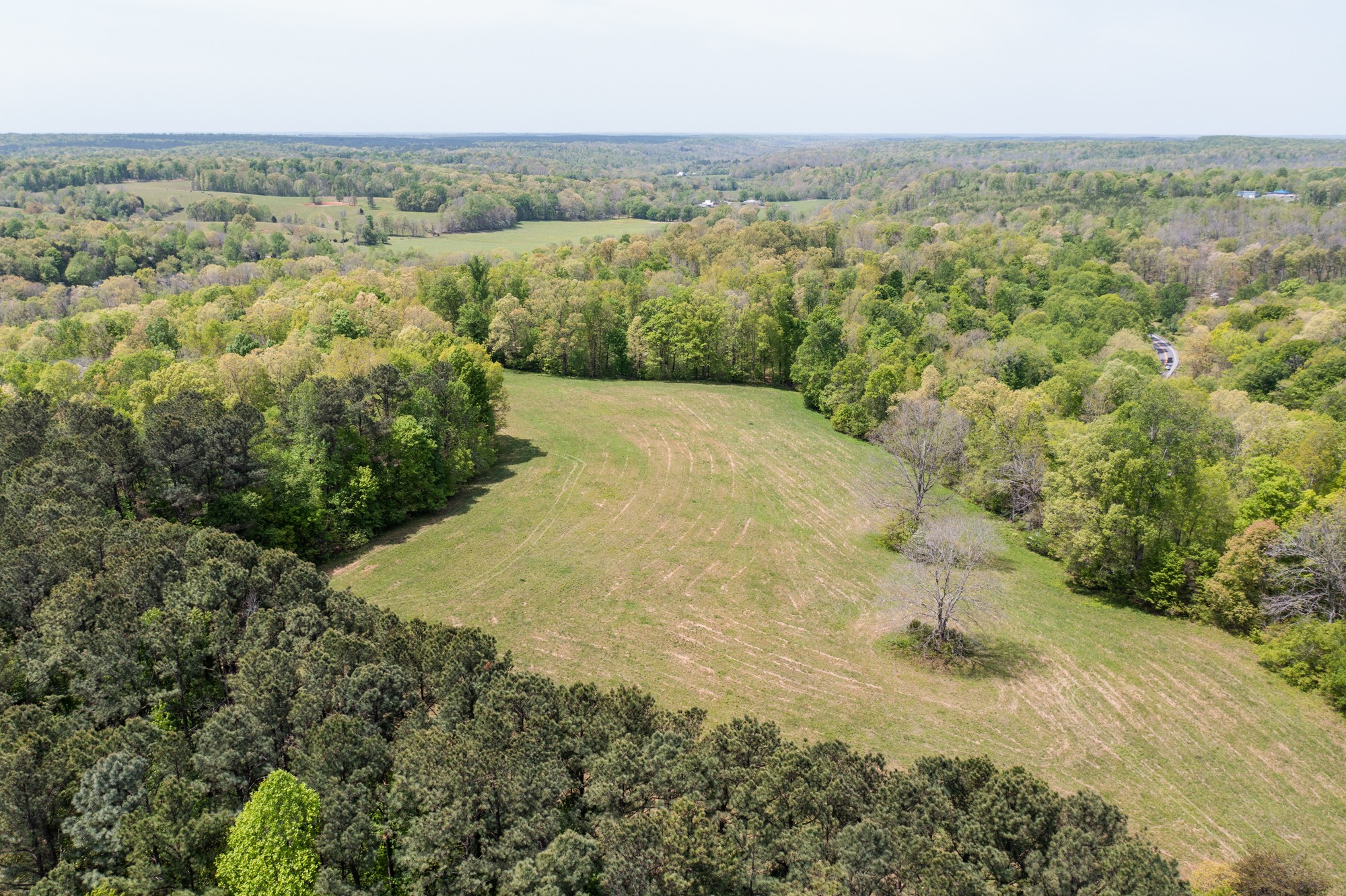 0 Gossett Cemetery Road Lyles, TN 37098 - Photo 33 of 50 Gallery Image 33