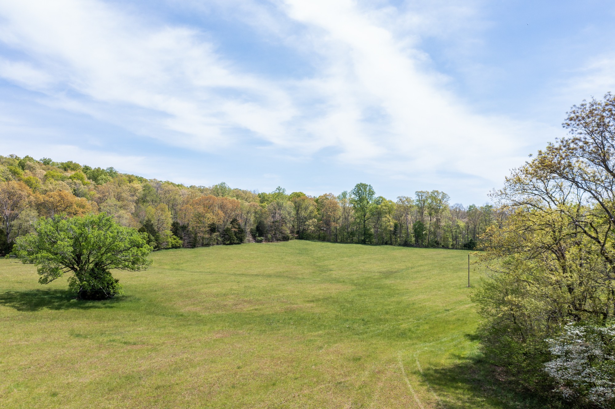 0 Gossett Cemetery Road Lyles, TN 37098 - Photo 39 of 50 Gallery Image 39