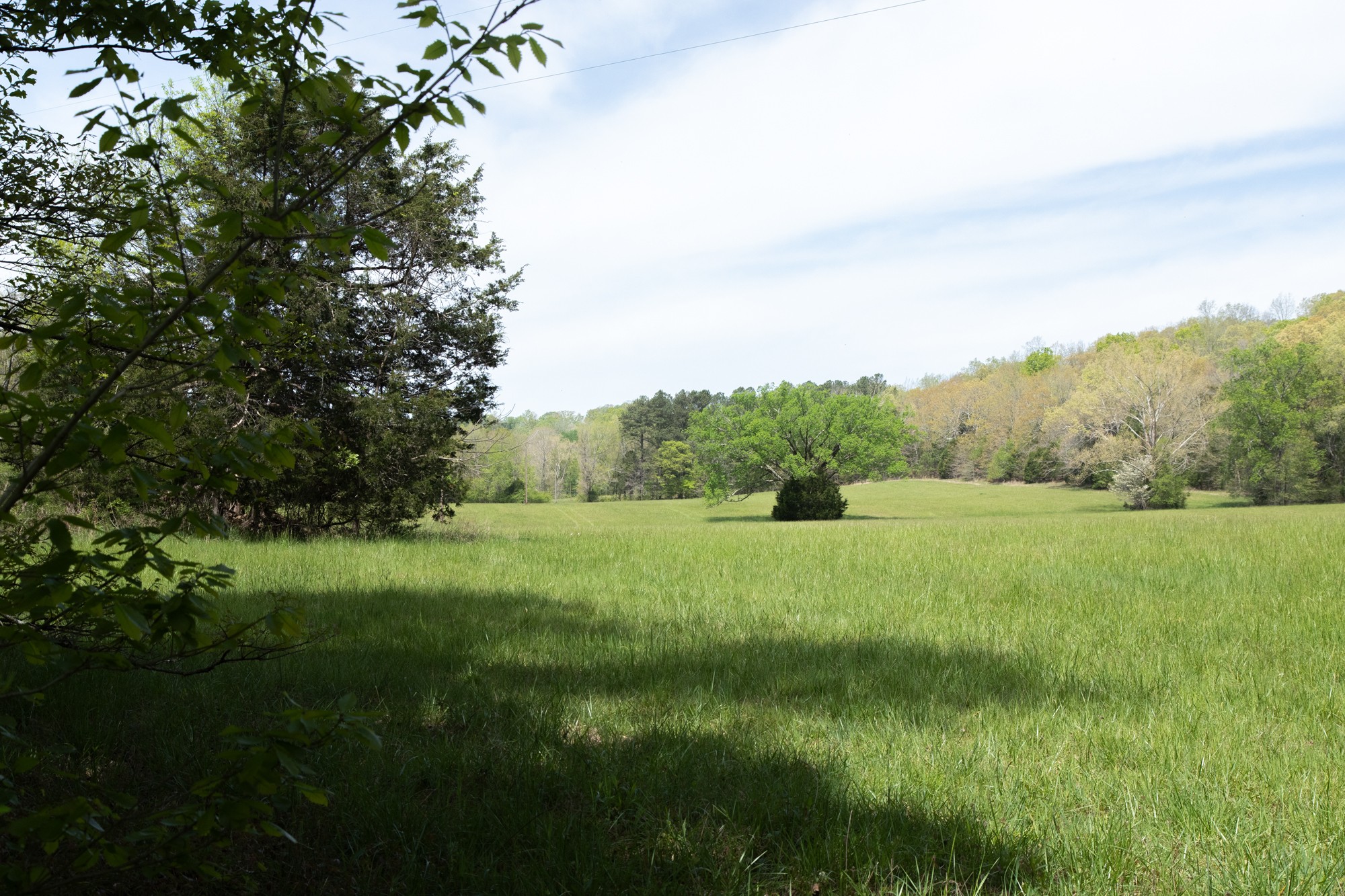 0 Gossett Cemetery Road Lyles, TN 37098 - Photo 40 of 50 Gallery Image 40