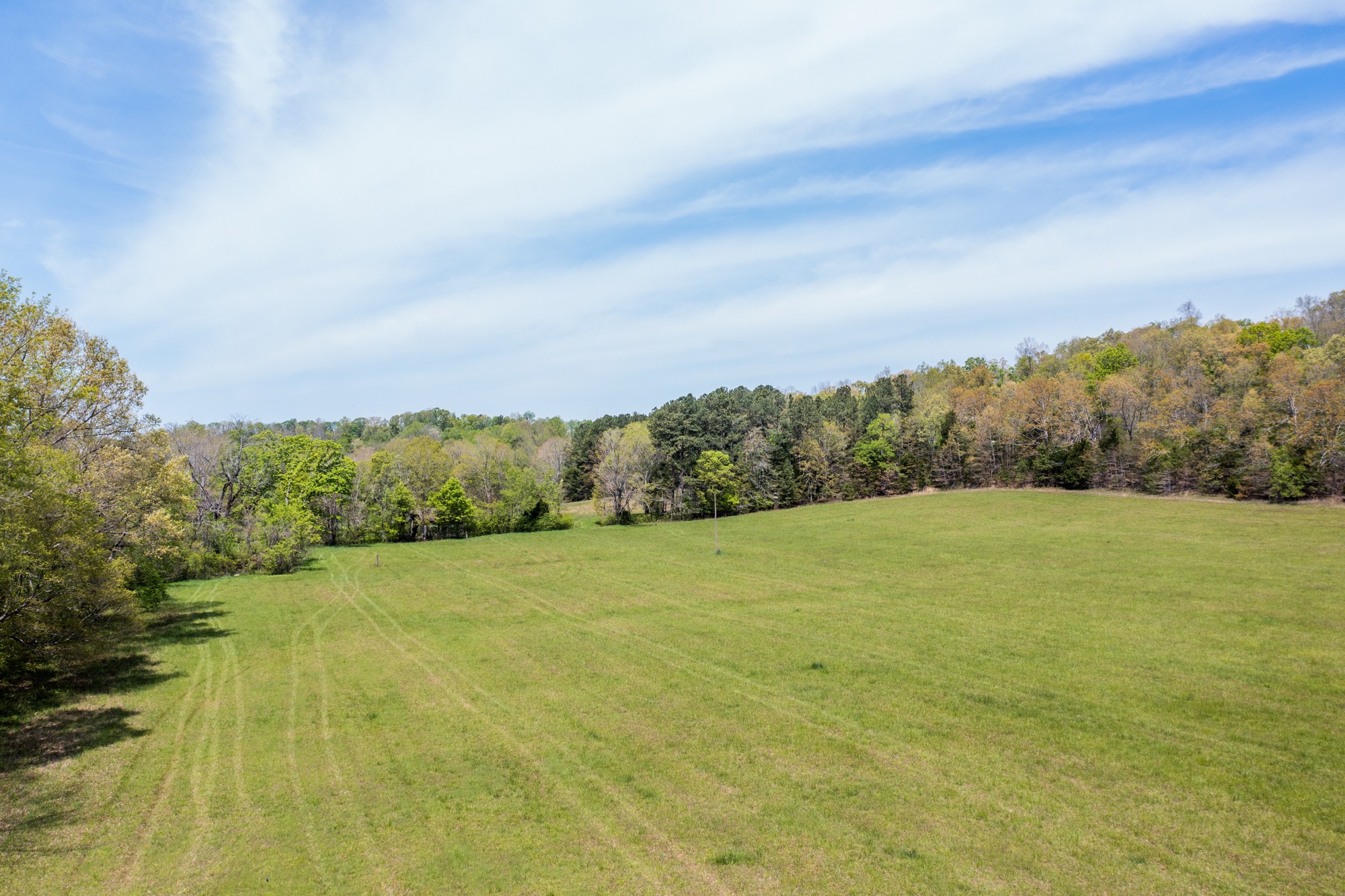 0 Gossett Cemetery Road Lyles, TN 37098 - Photo 41 of 50 Gallery Image 41