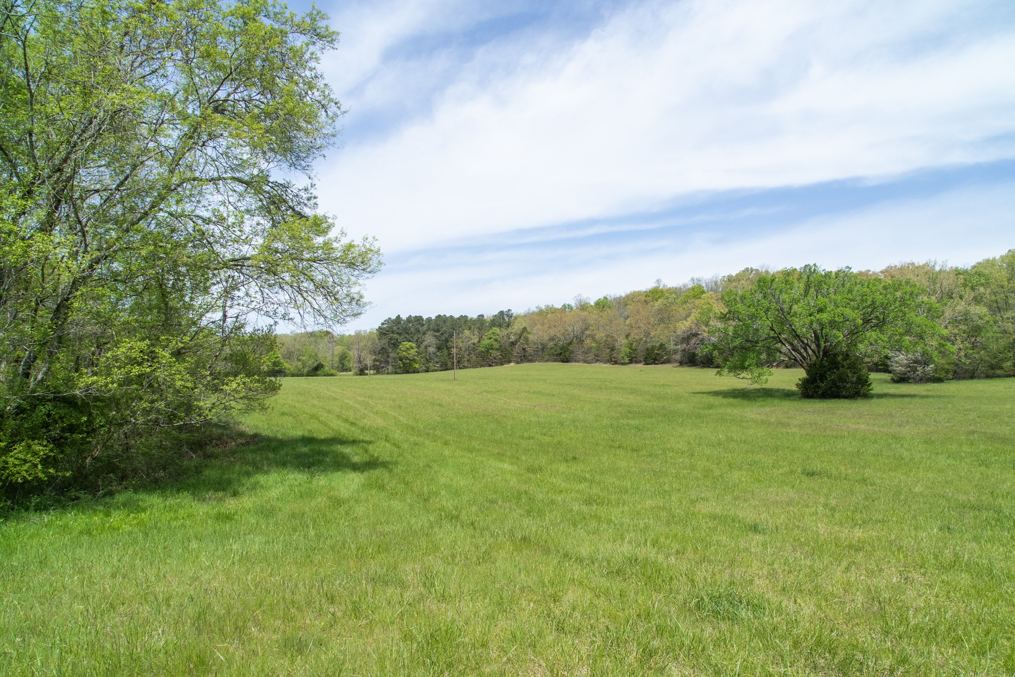 0 Gossett Cemetery Road Lyles, TN 37098 - Photo 43 of 50 Gallery Image 43