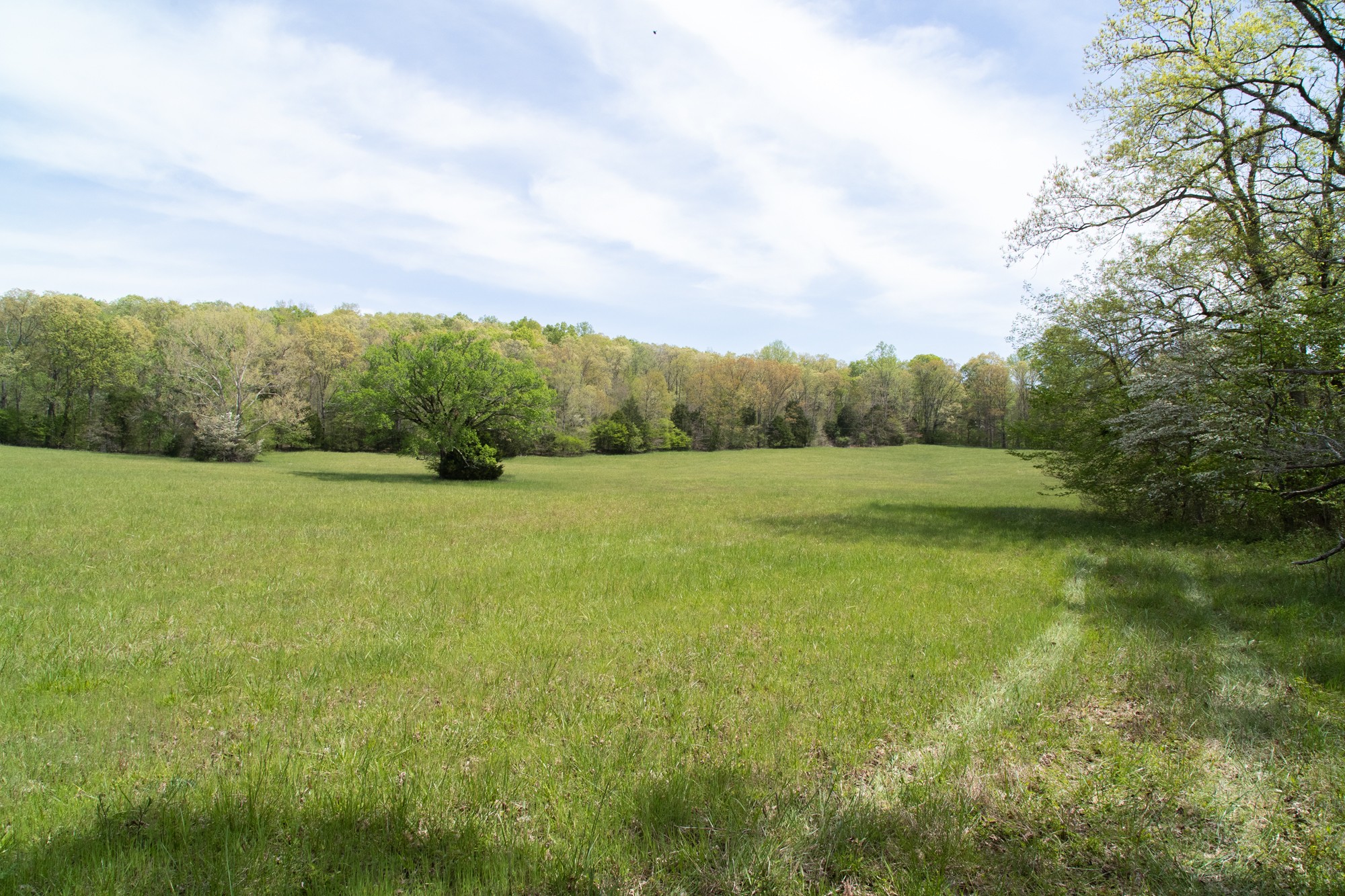 0 Gossett Cemetery Road Lyles, TN 37098 - Photo 44 of 50 Gallery Image 44