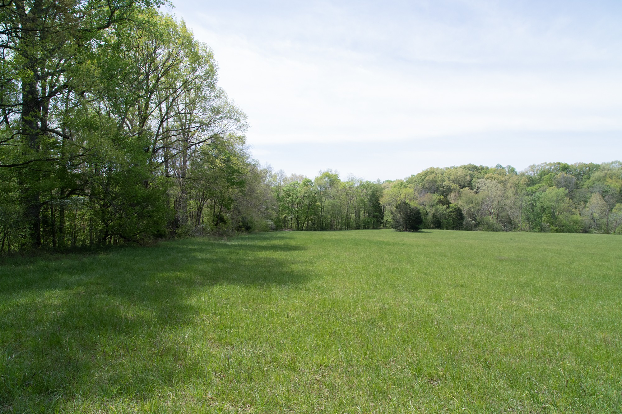 0 Gossett Cemetery Road Lyles, TN 37098 - Photo 45 of 50 Gallery Image 45