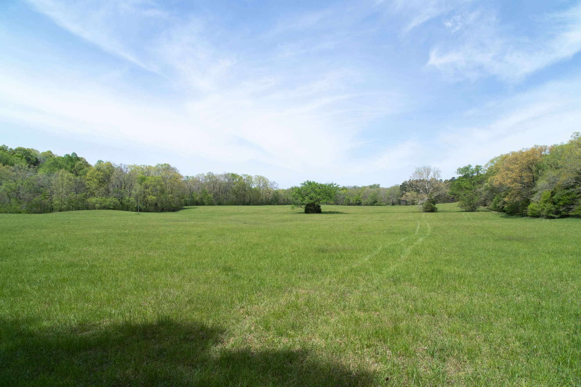 0 Gossett Cemetery Road Lyles, TN 37098 - Photo 46 of 50 Gallery Image 46