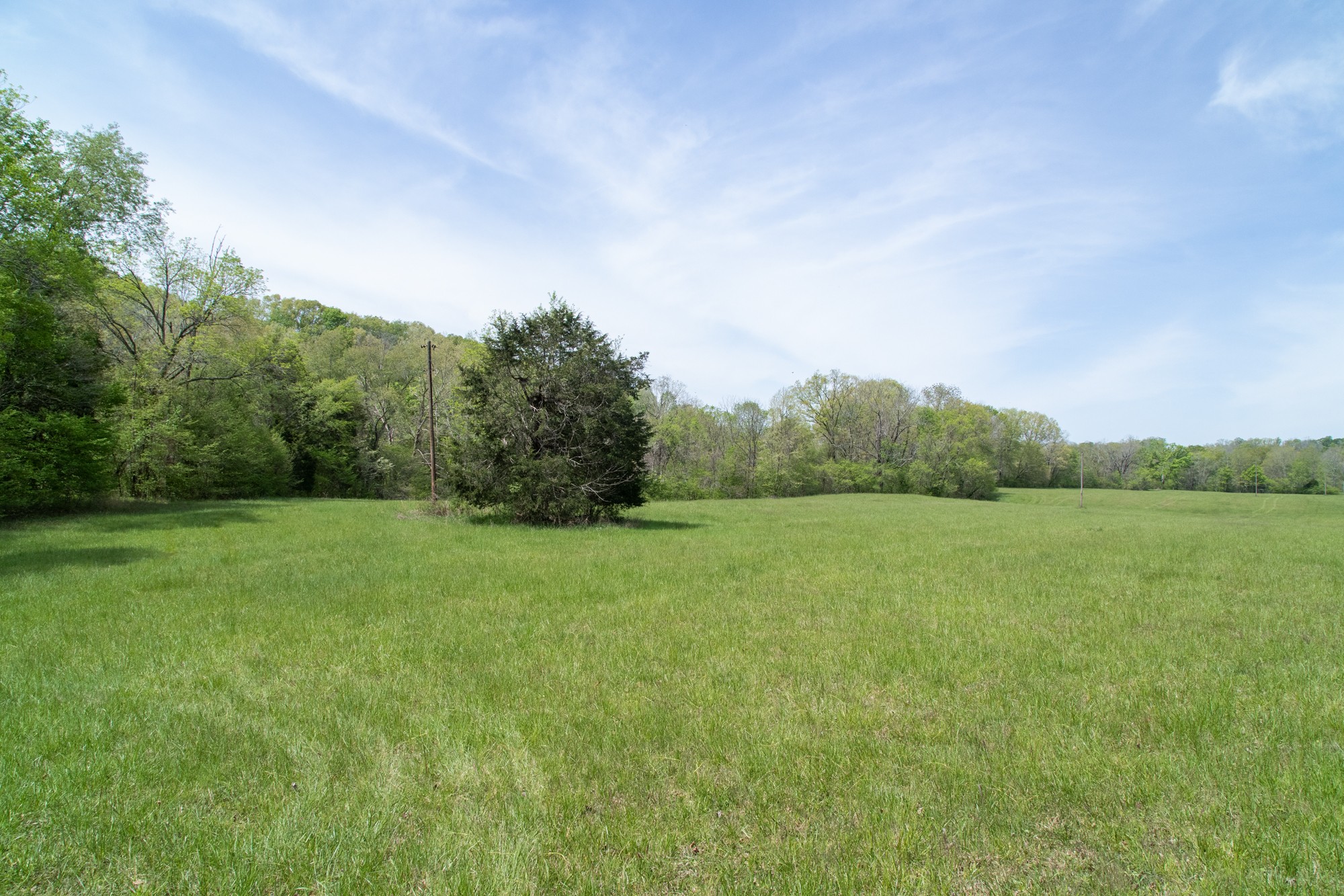 0 Gossett Cemetery Road Lyles, TN 37098 - Photo 47 of 50 Gallery Image 47
