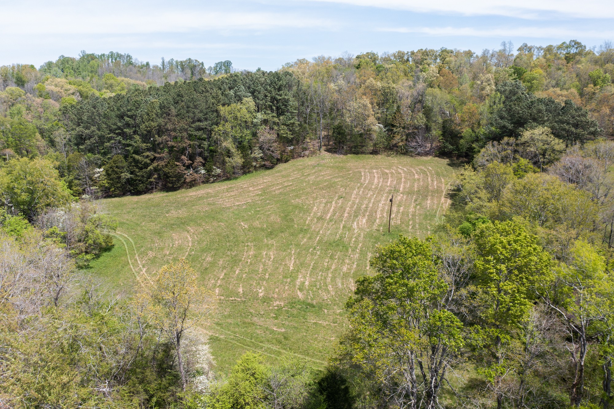 0 Gossett Cemetery Road Lyles, TN 37098 - Photo 48 of 50 Gallery Image 48