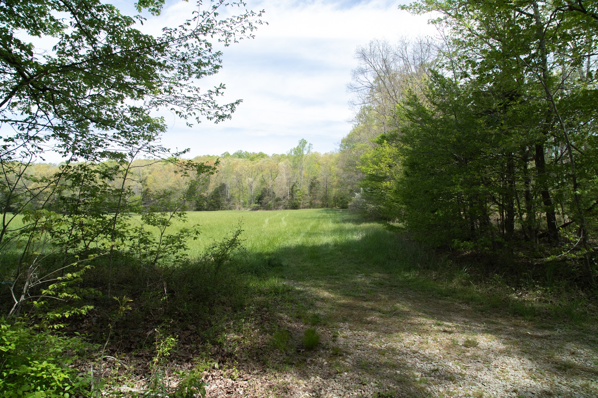 0 Gossett Cemetery Road Lyles, TN 37098 - Photo 50 of 50 Gallery Image 50