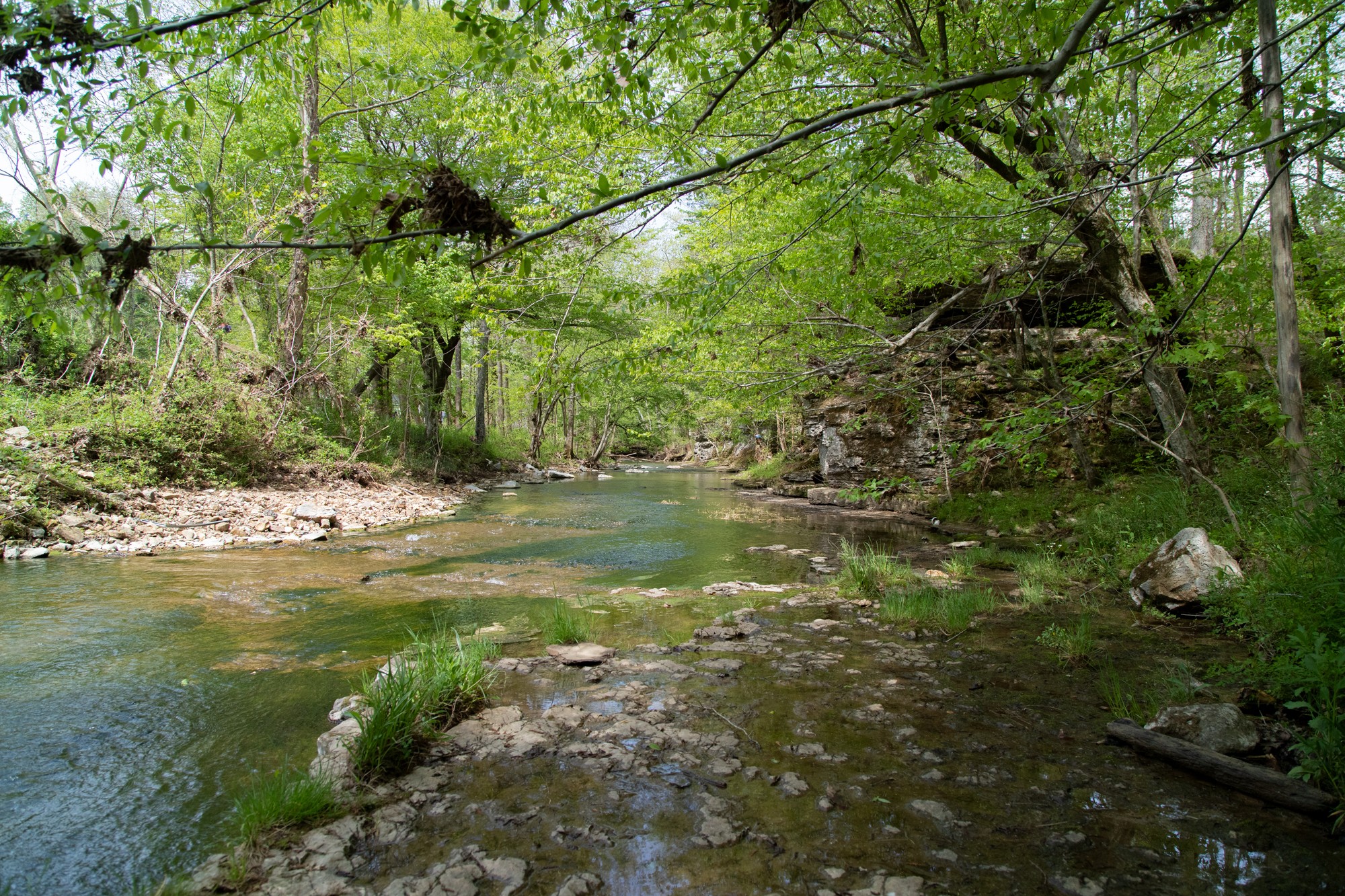 0 Gossett Cemetery Road Lyles, TN 37098 - Photo 6 of 50 Gallery Image 6