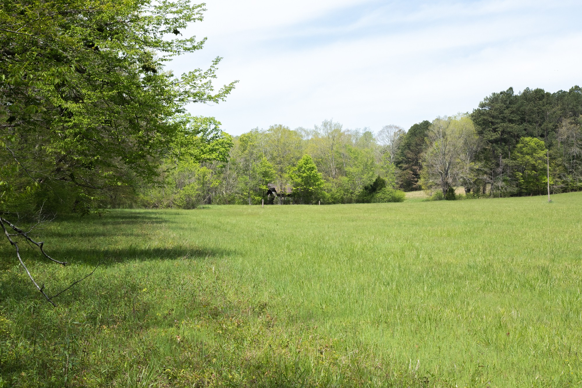 0 Gossett Cemetery Road Lyles, TN 37098 - Photo 7 of 50 Gallery Image 7