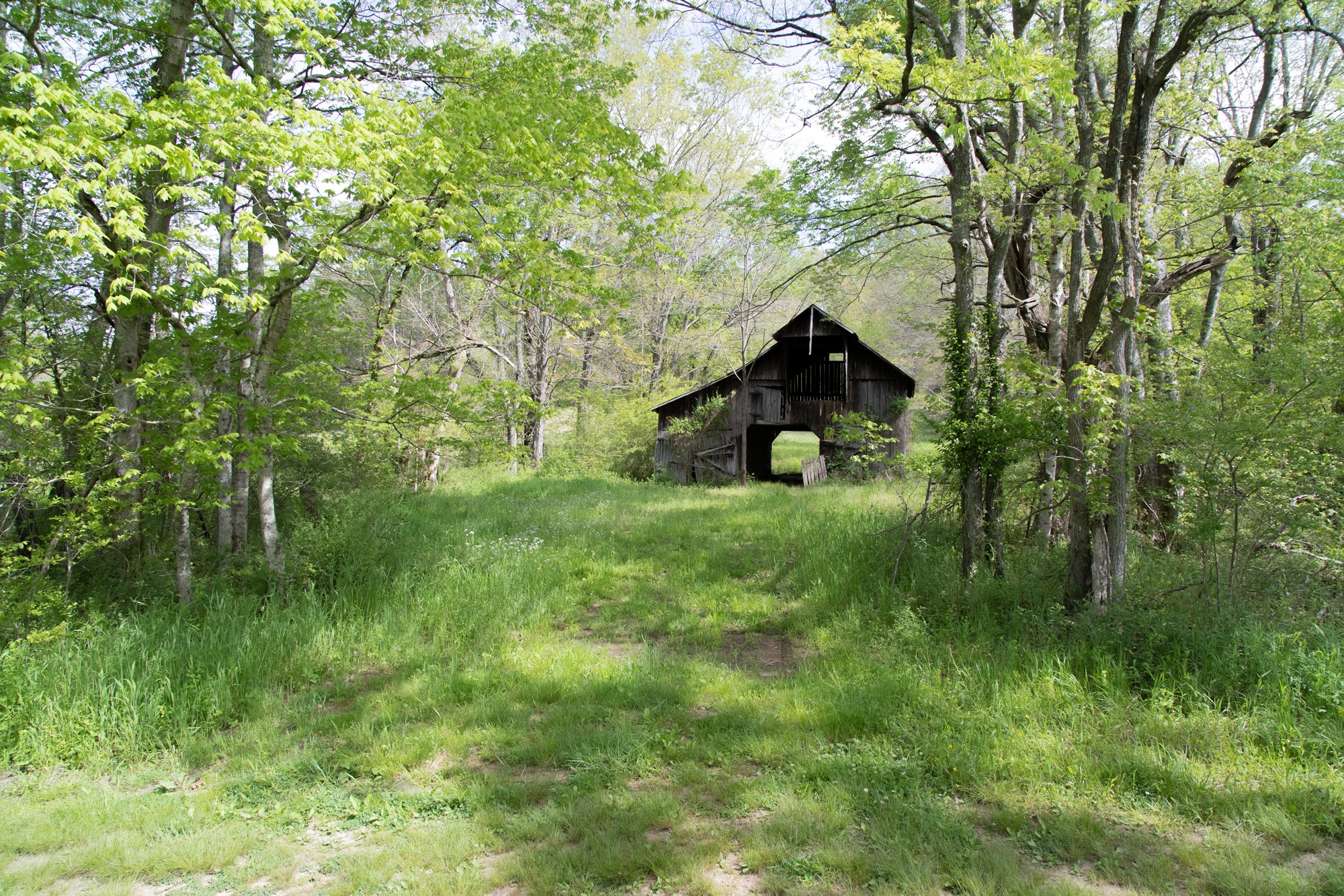 0 Gossett Cemetery Road Lyles, TN 37098 - Photo 8 of 50 Gallery Image 8