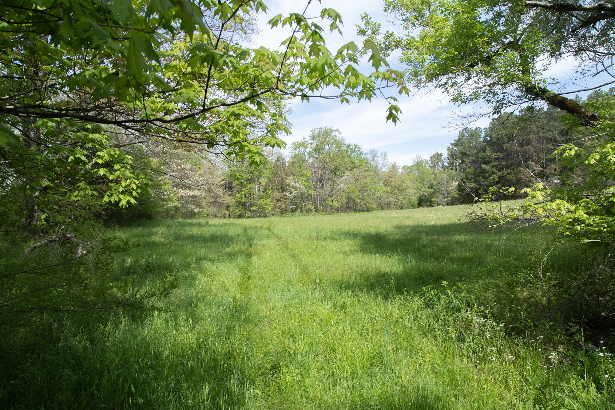 0 Gossett Cemetery Road Lyles, TN 37098 - Photo 9 of 50 Gallery Image 9