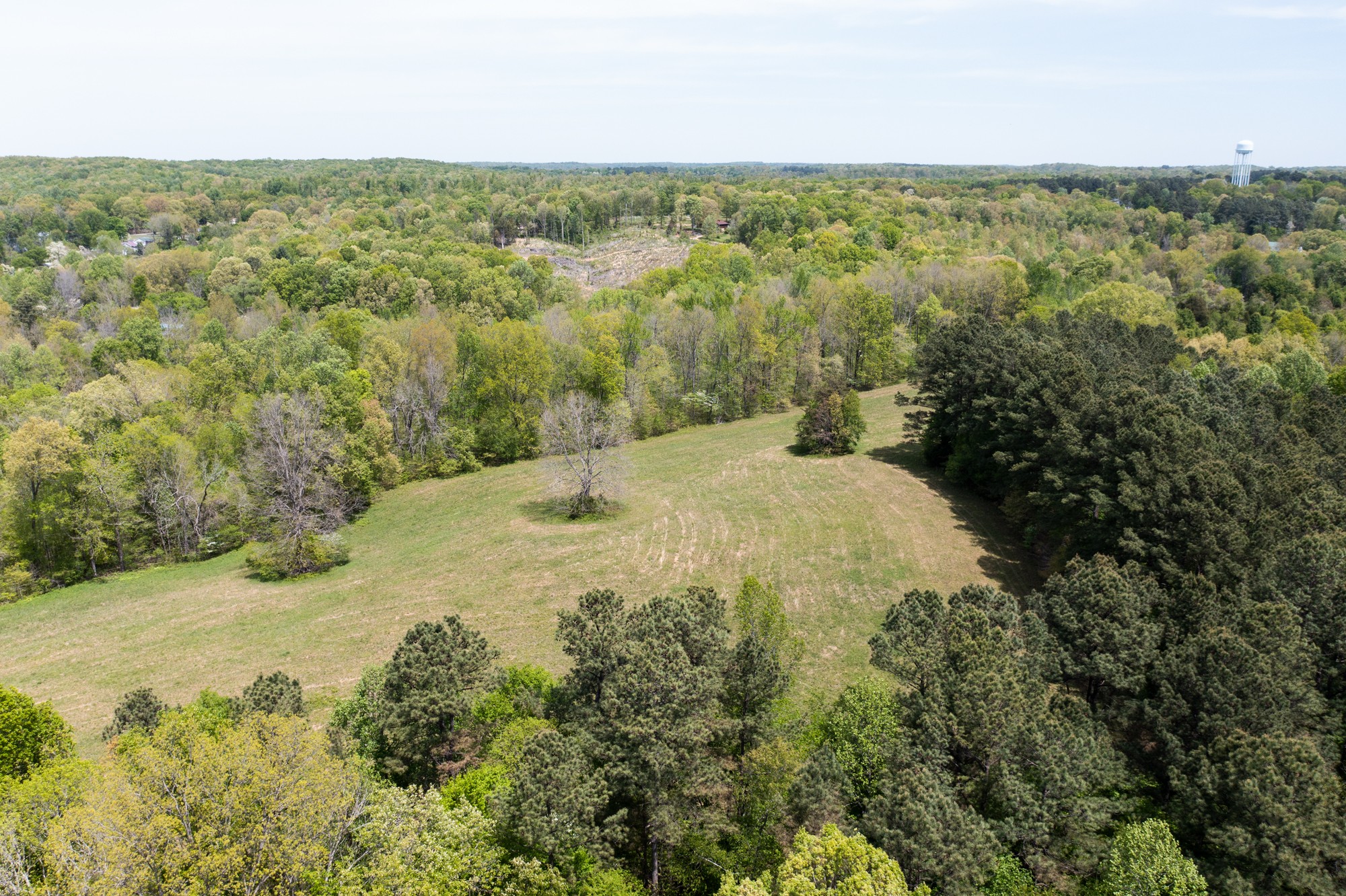 0 Gossett Cemetery Road Lyles, TN 37098 - Photo 10 of 50 Gallery Image 10