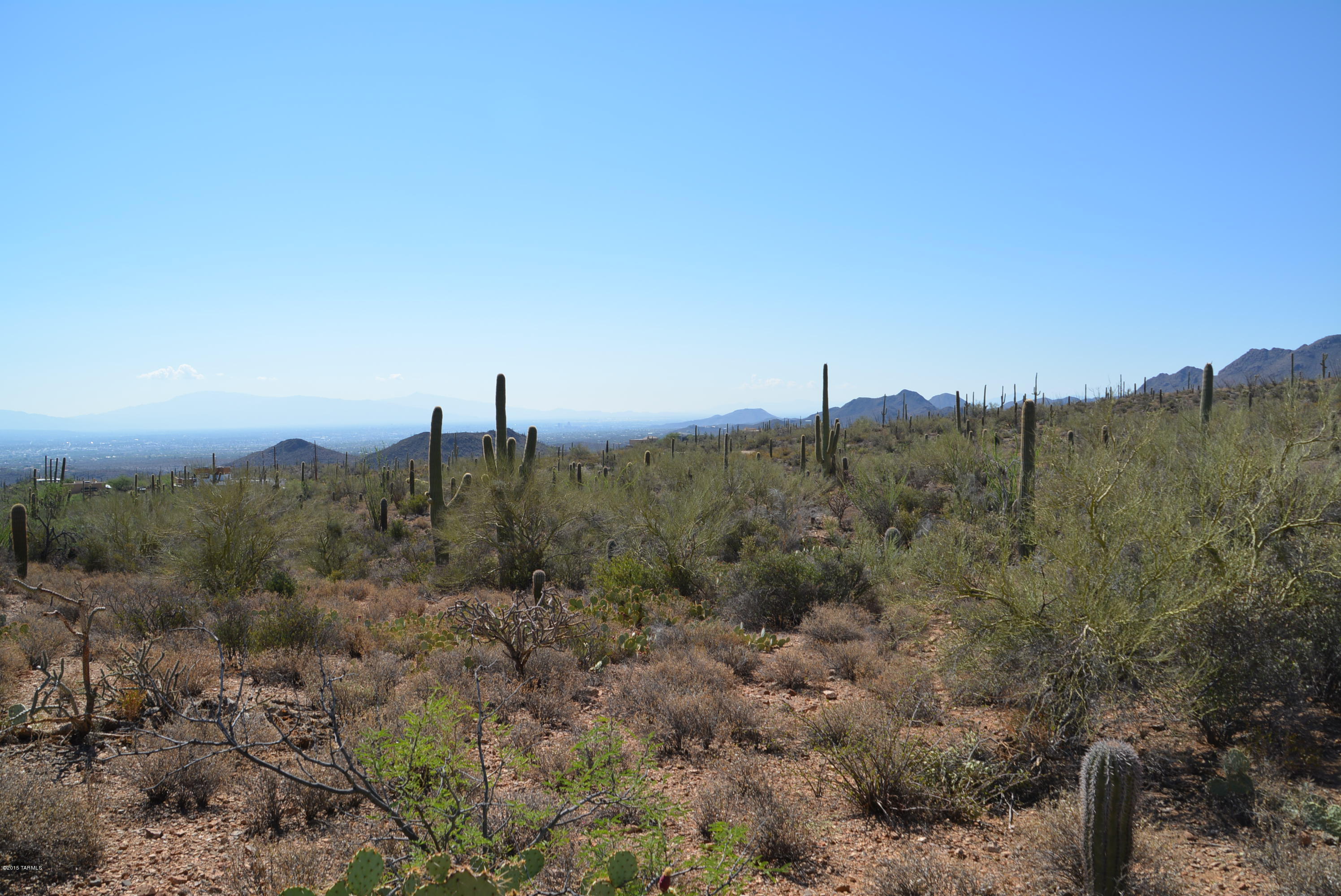 0 Broken Spring Tucson, AZ 85745 - Photo 6 of 24