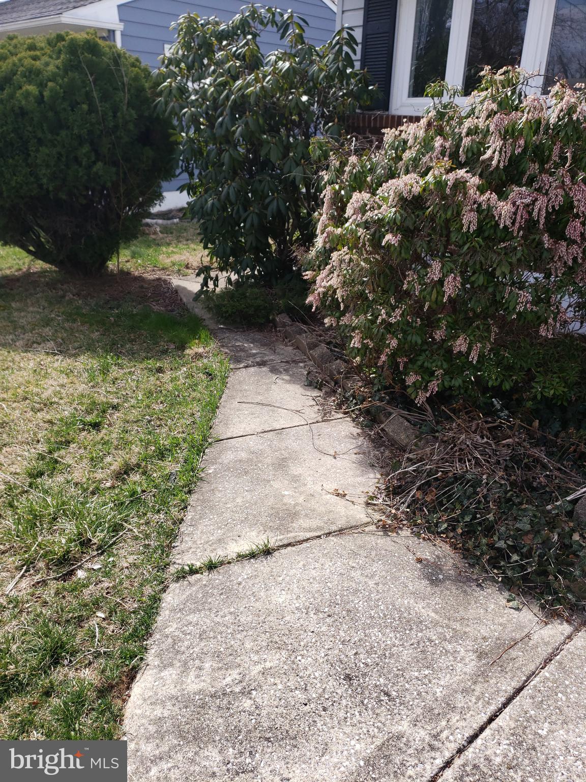 7415 Remoor Road Baltimore, MD 21207 - Photo 8 of 45 a view of a pathway with a yard