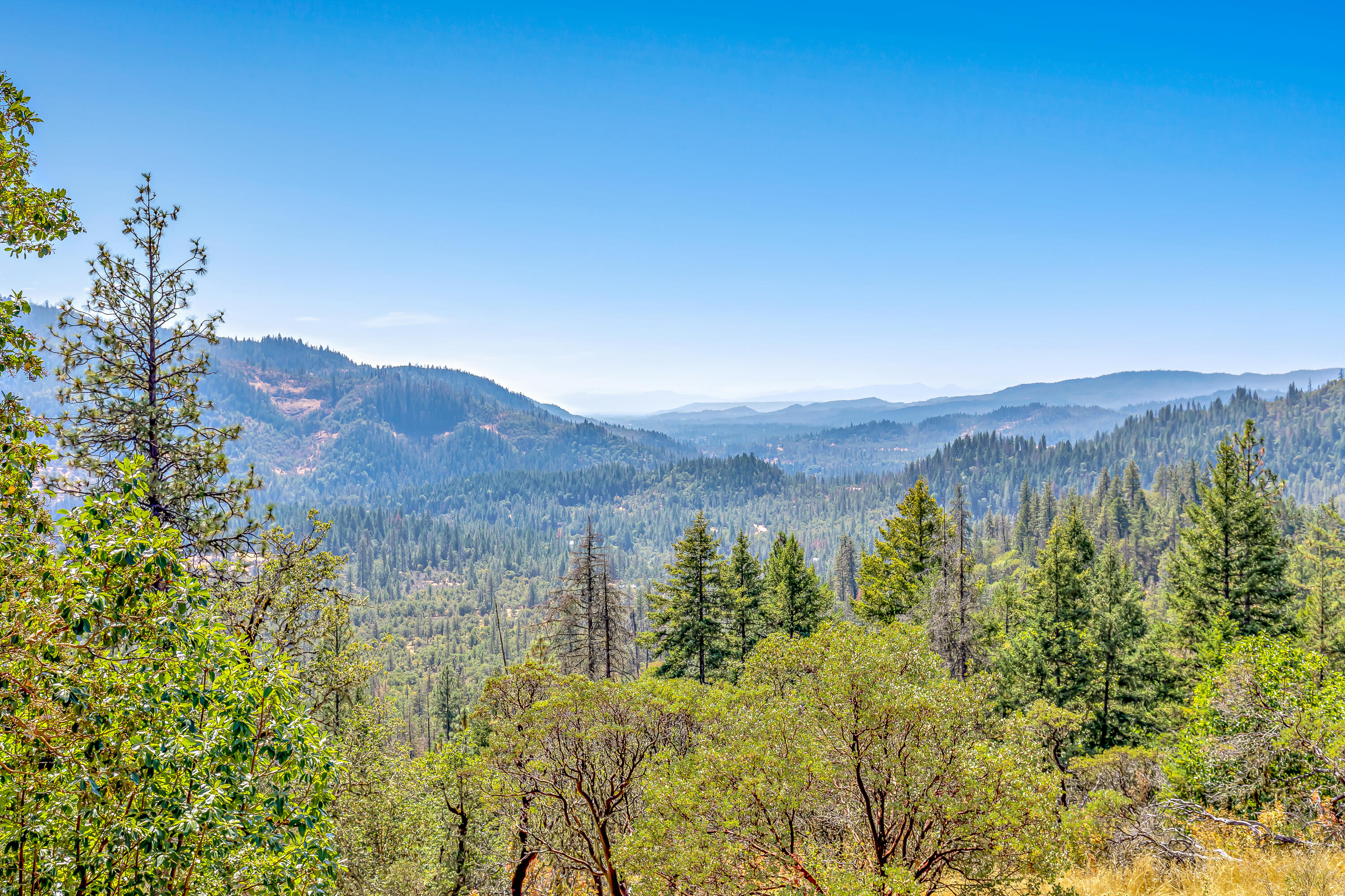 737 Busch Road Trail, OR 97541 - Photo 45 of 50 46