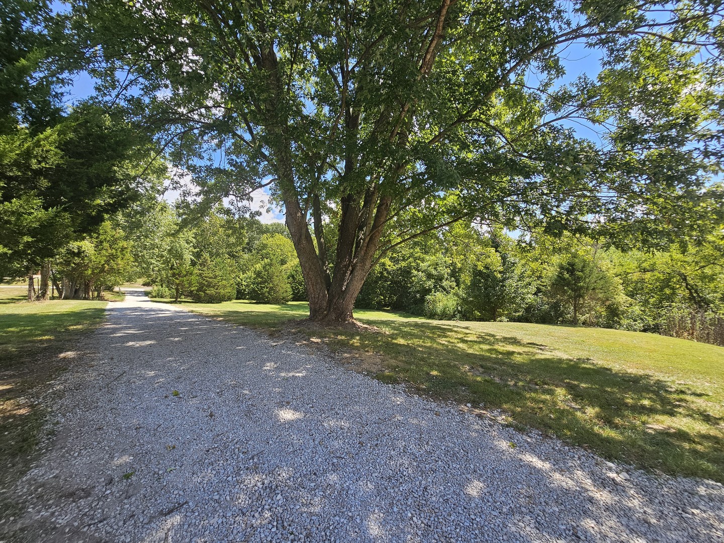 2673 County Farm Road Salem, IL 62881 - Photo 15 of 39 Gallery Image 15